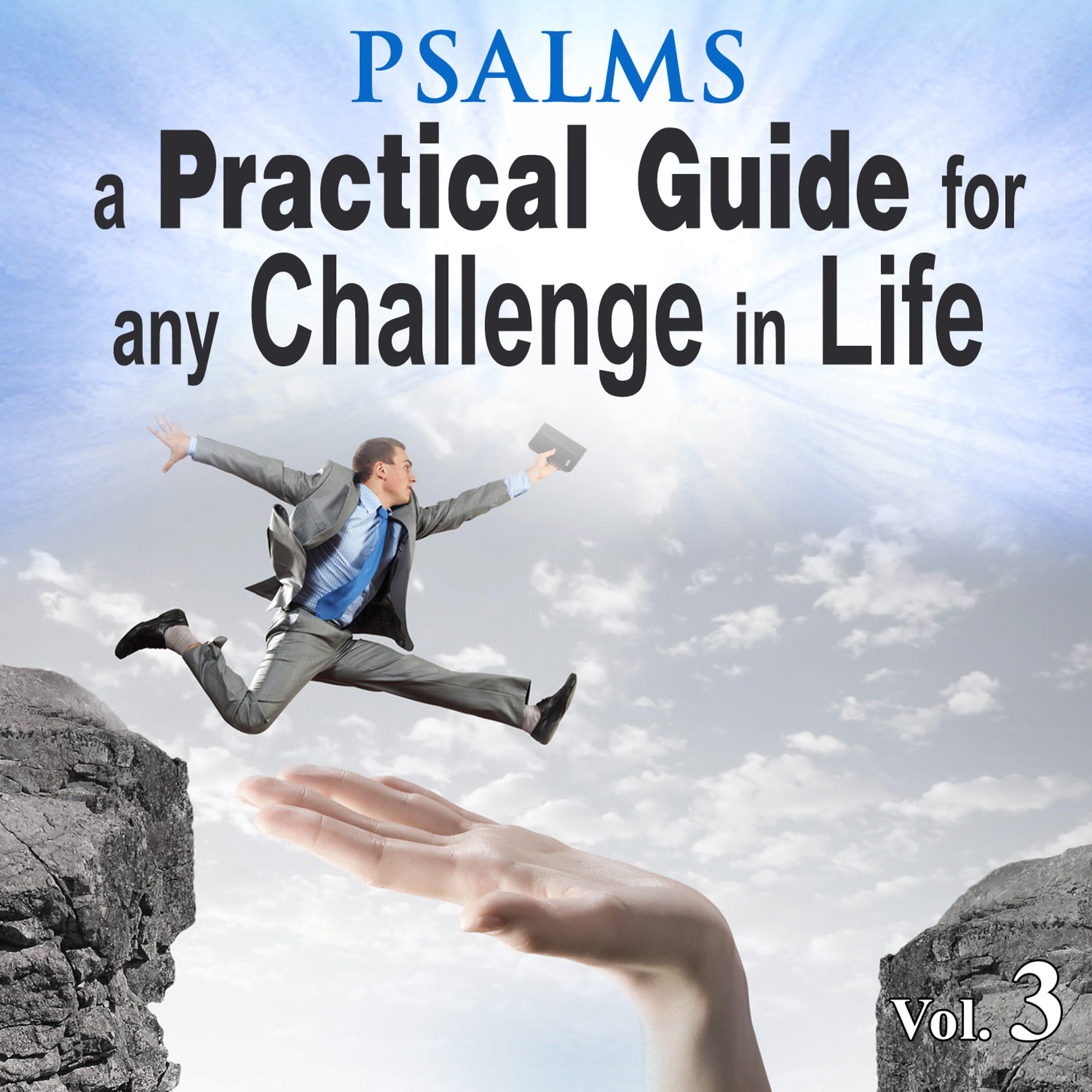 Постер альбома Psalms a Practical Guide for Any Challenge in Life, Vol. 3