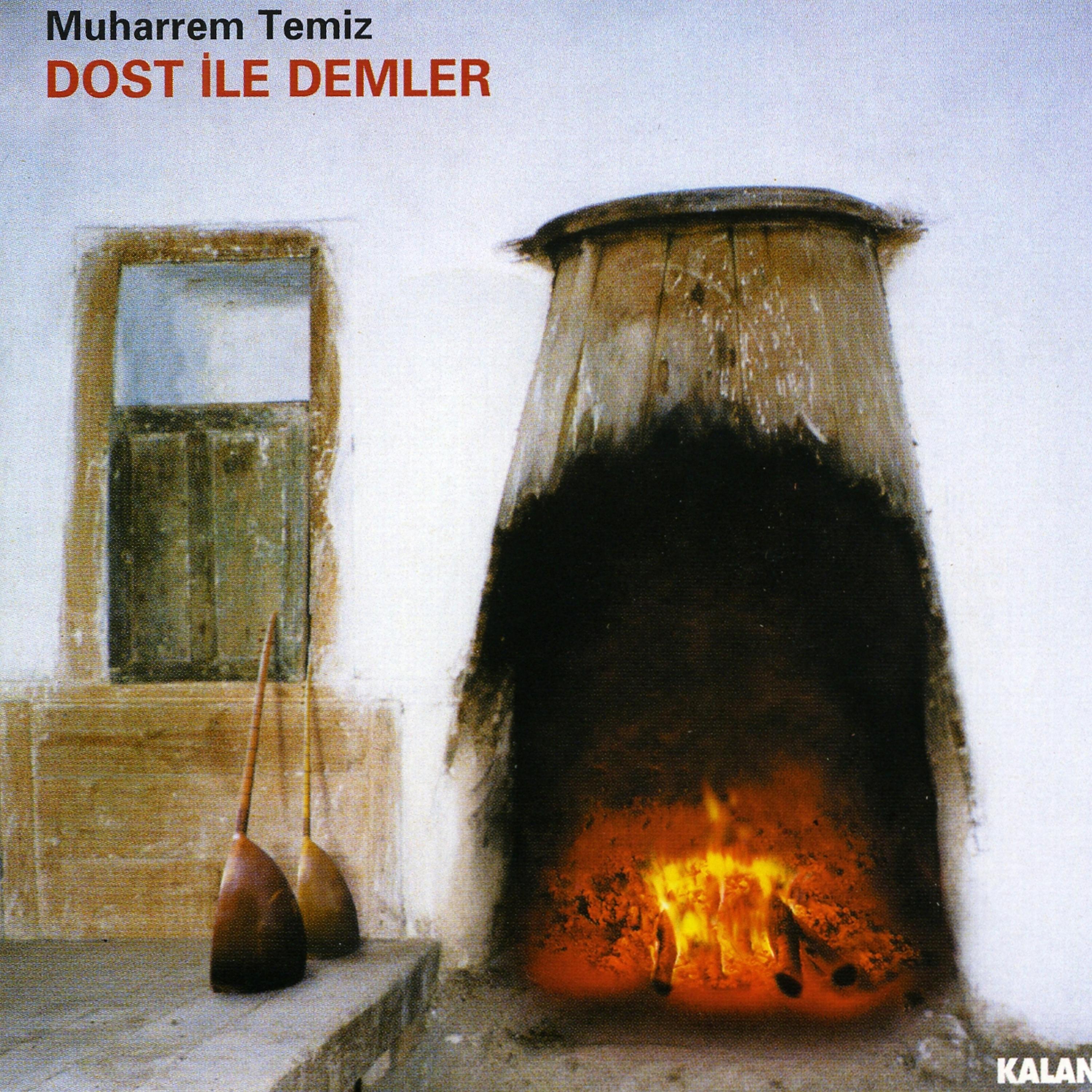 Постер альбома Dost ile Demler