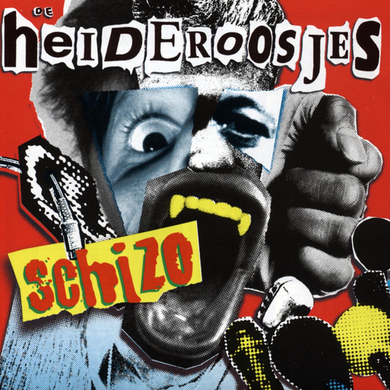 Постер альбома Schizo