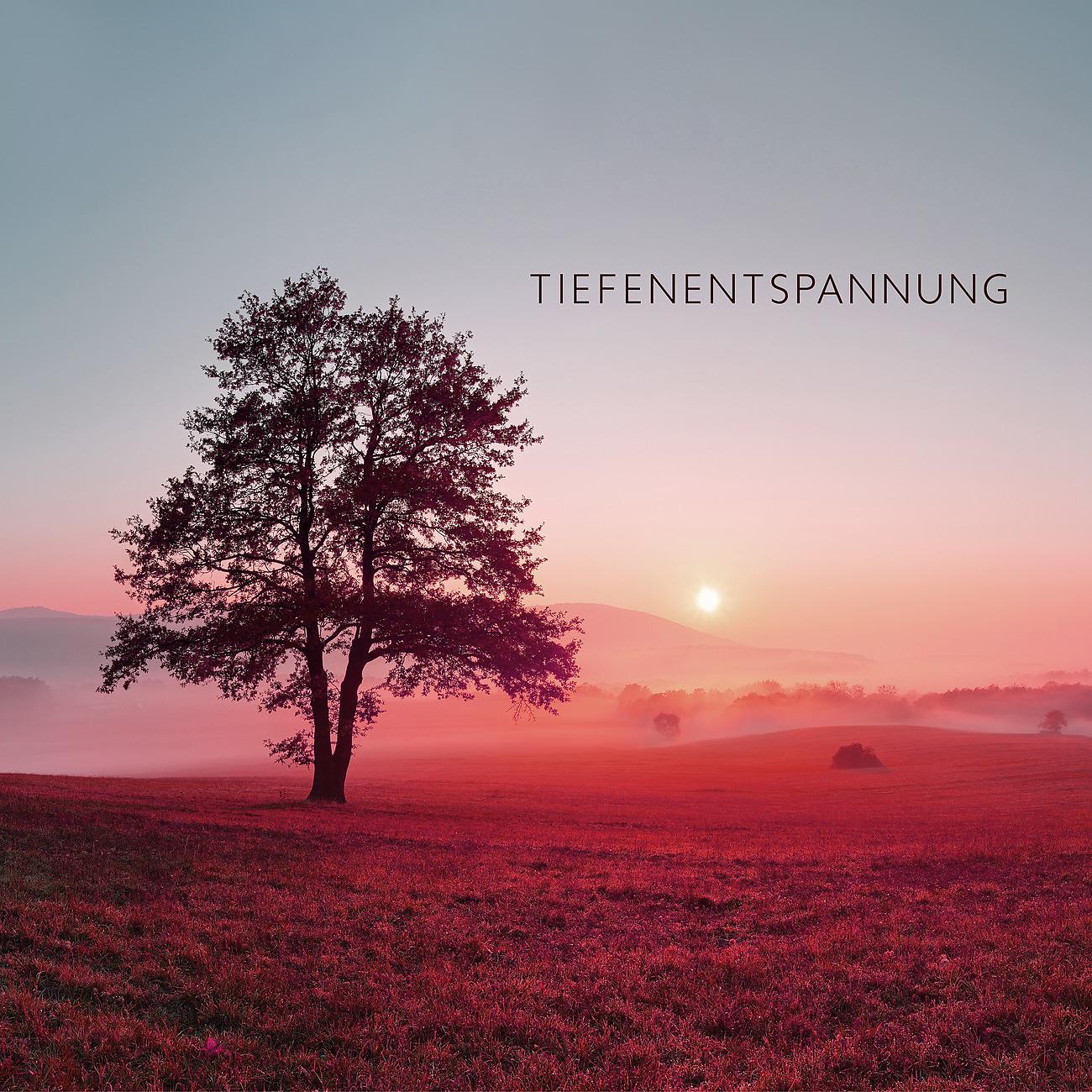 Постер альбома Tiefenentspannung