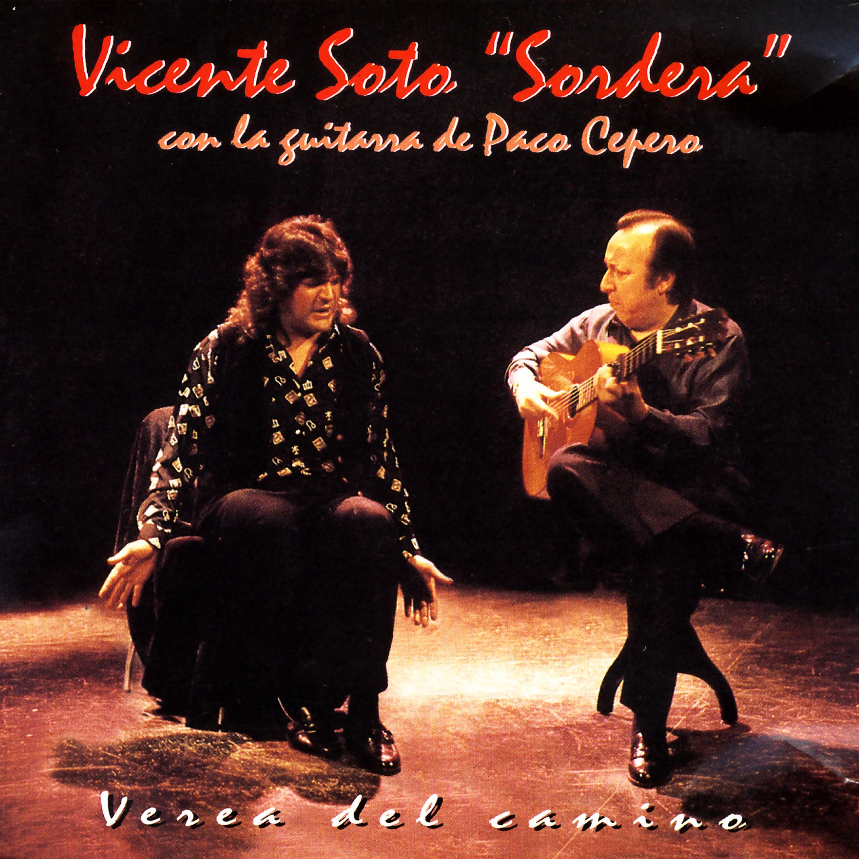 Постер альбома Verea Del Camino