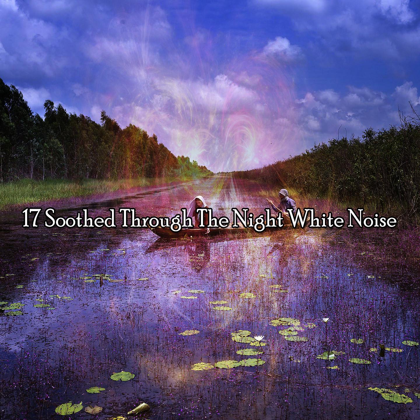 Постер альбома 17 Soothed Through The Night White Noise