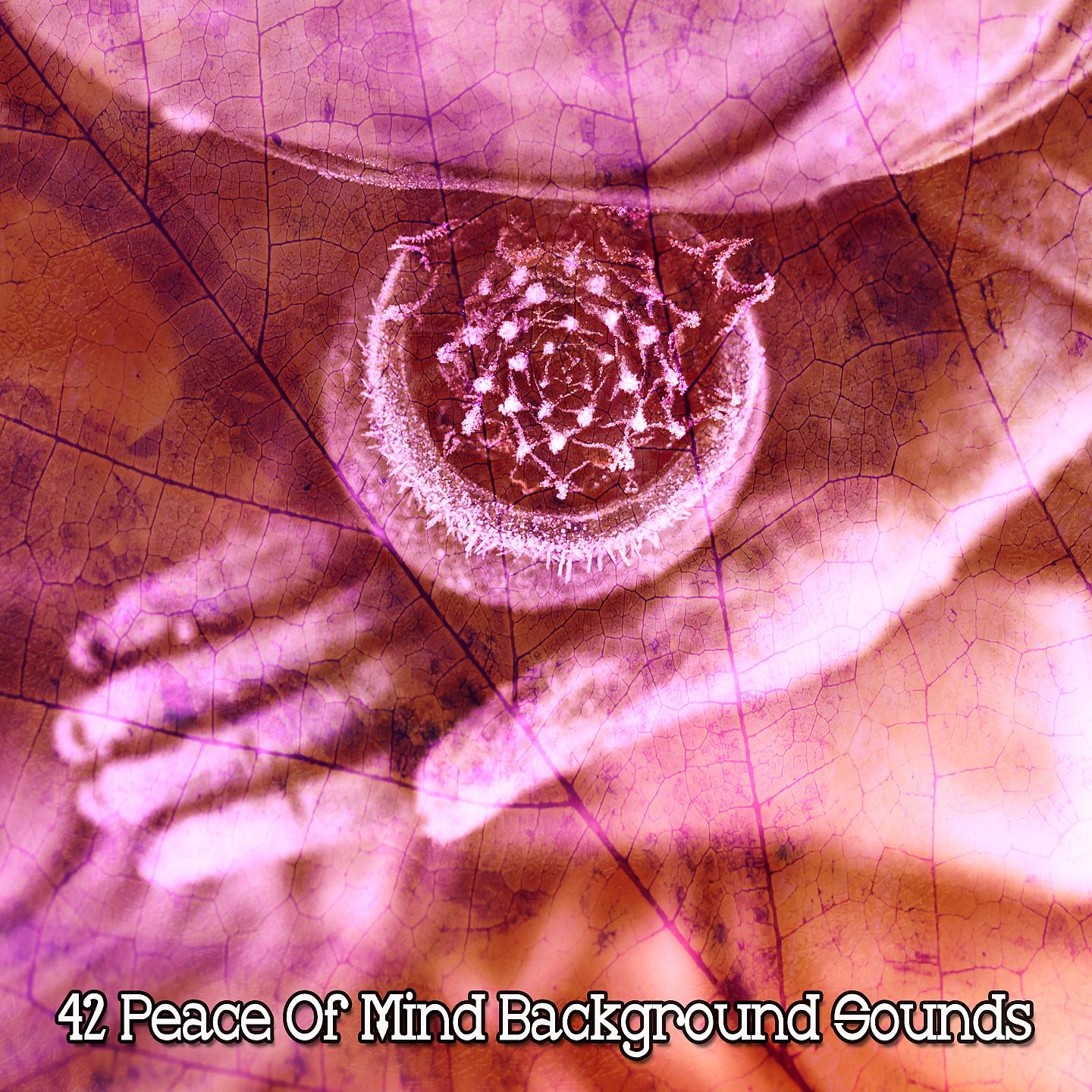 Постер альбома 42 Фоновые звуки душевного спокойствия