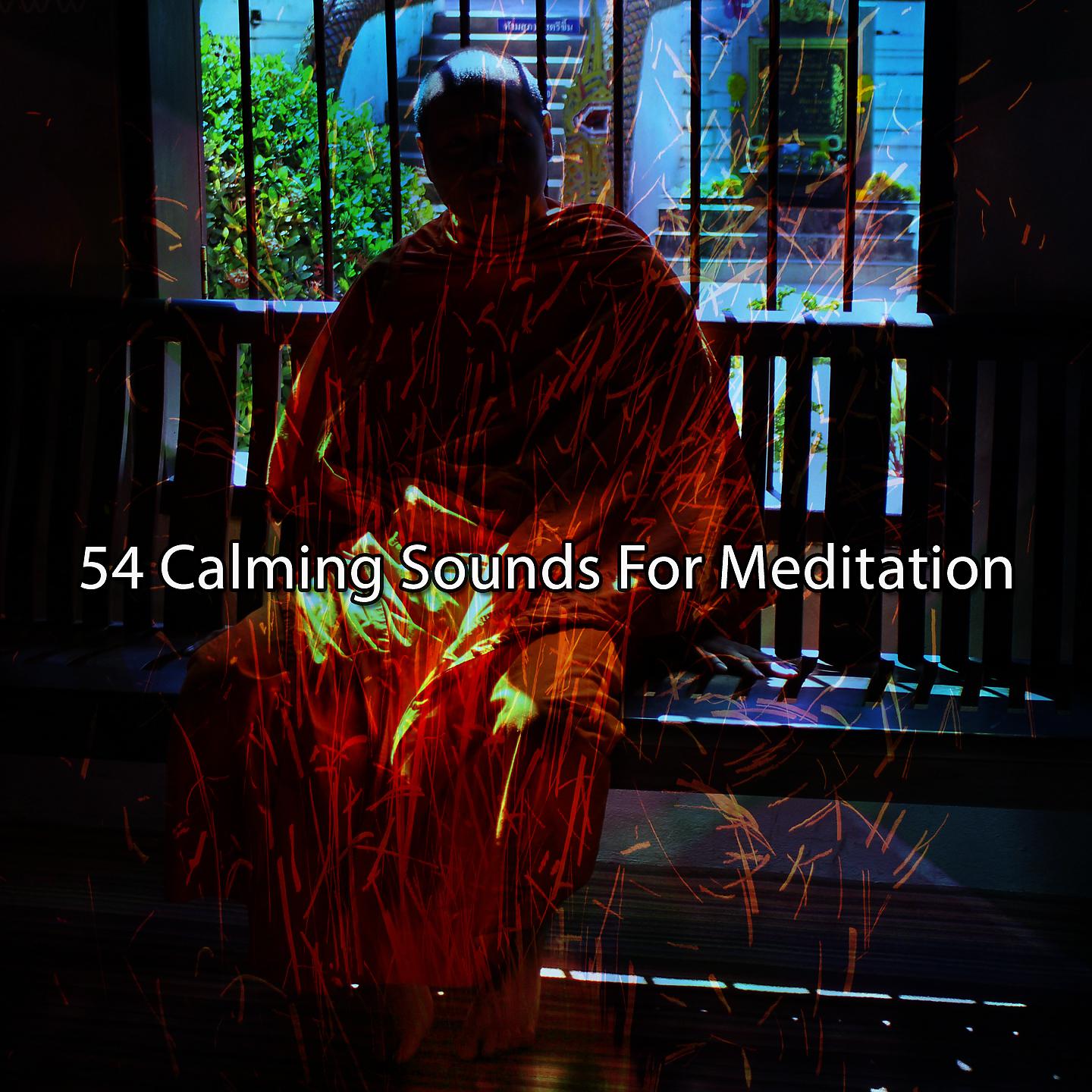 Постер альбома 54 успокаивающих звука для медитации