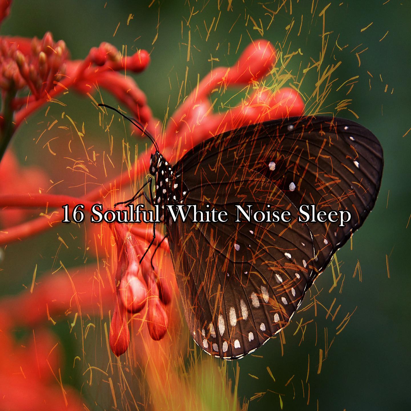 Постер альбома 16 Soulful White Noise Sleep