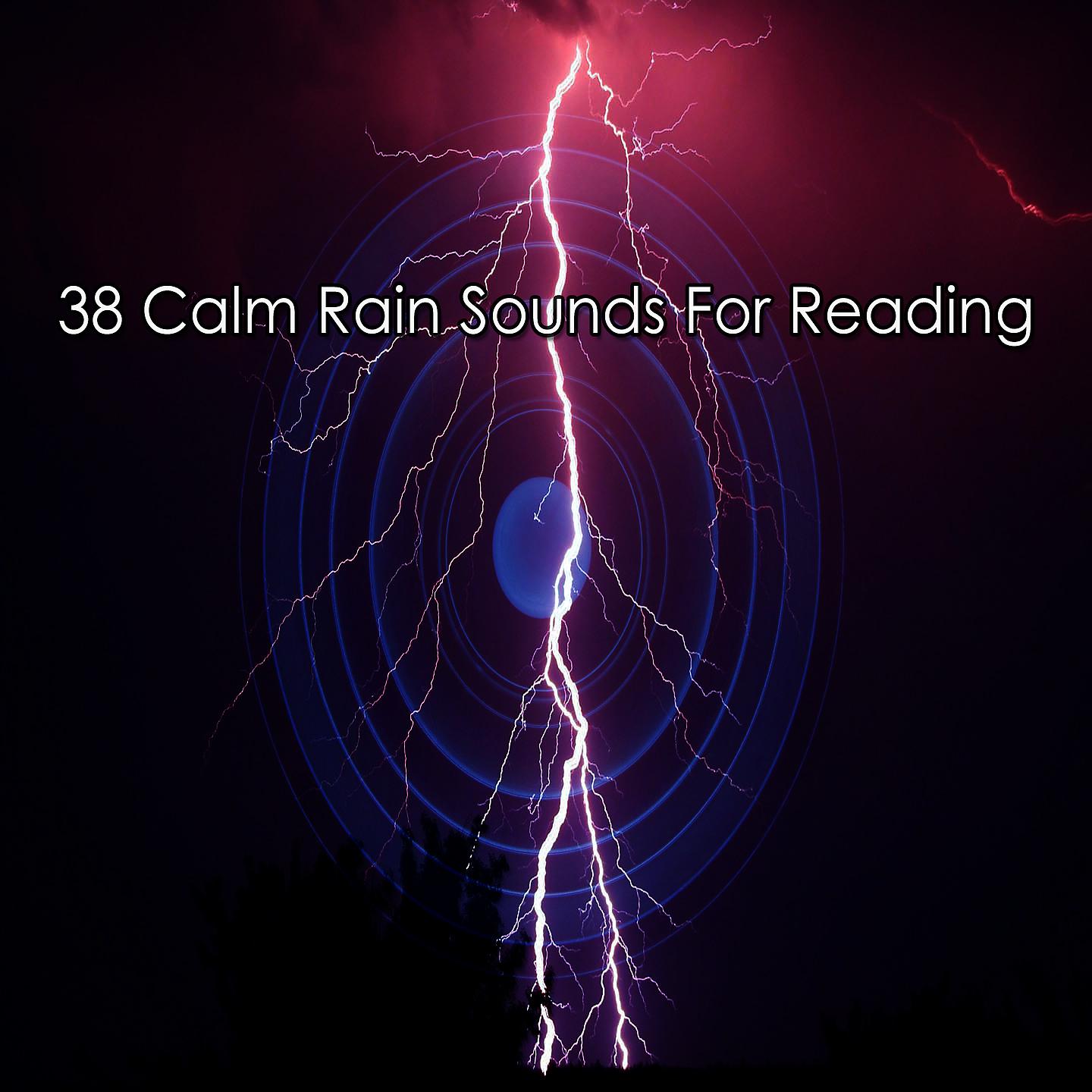 Постер альбома 38 звуков тихого дождя для чтения
