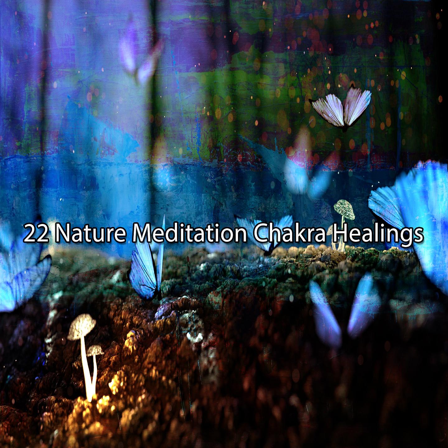 Постер альбома 22 исцеления чакры с помощью природной медитации
