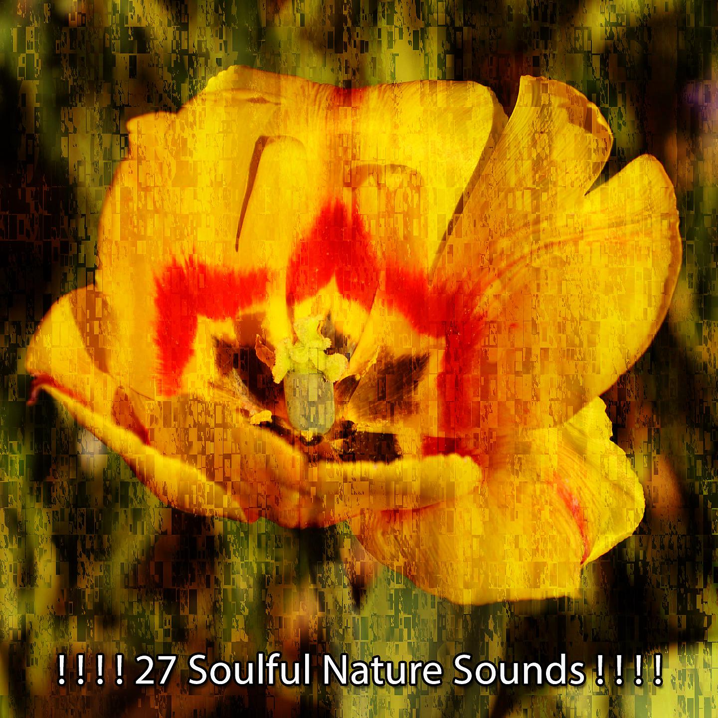 Постер альбома ! ! ! ! 27 душевных звуков природы! ! ! !