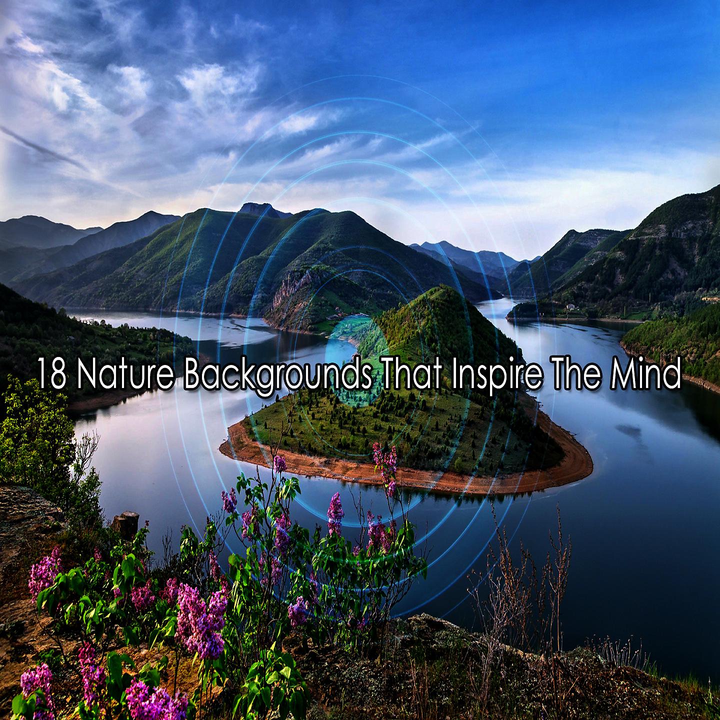 Постер альбома 18 природных фонов, которые вдохновляют ум