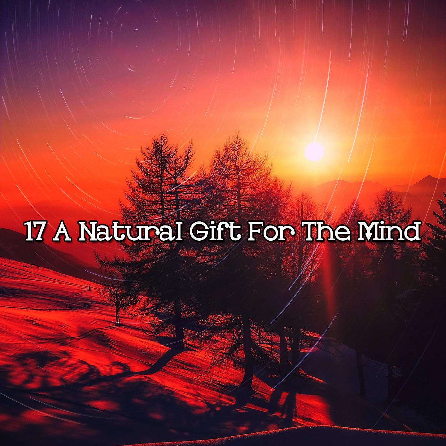Постер альбома 17 Естественный подарок для ума
