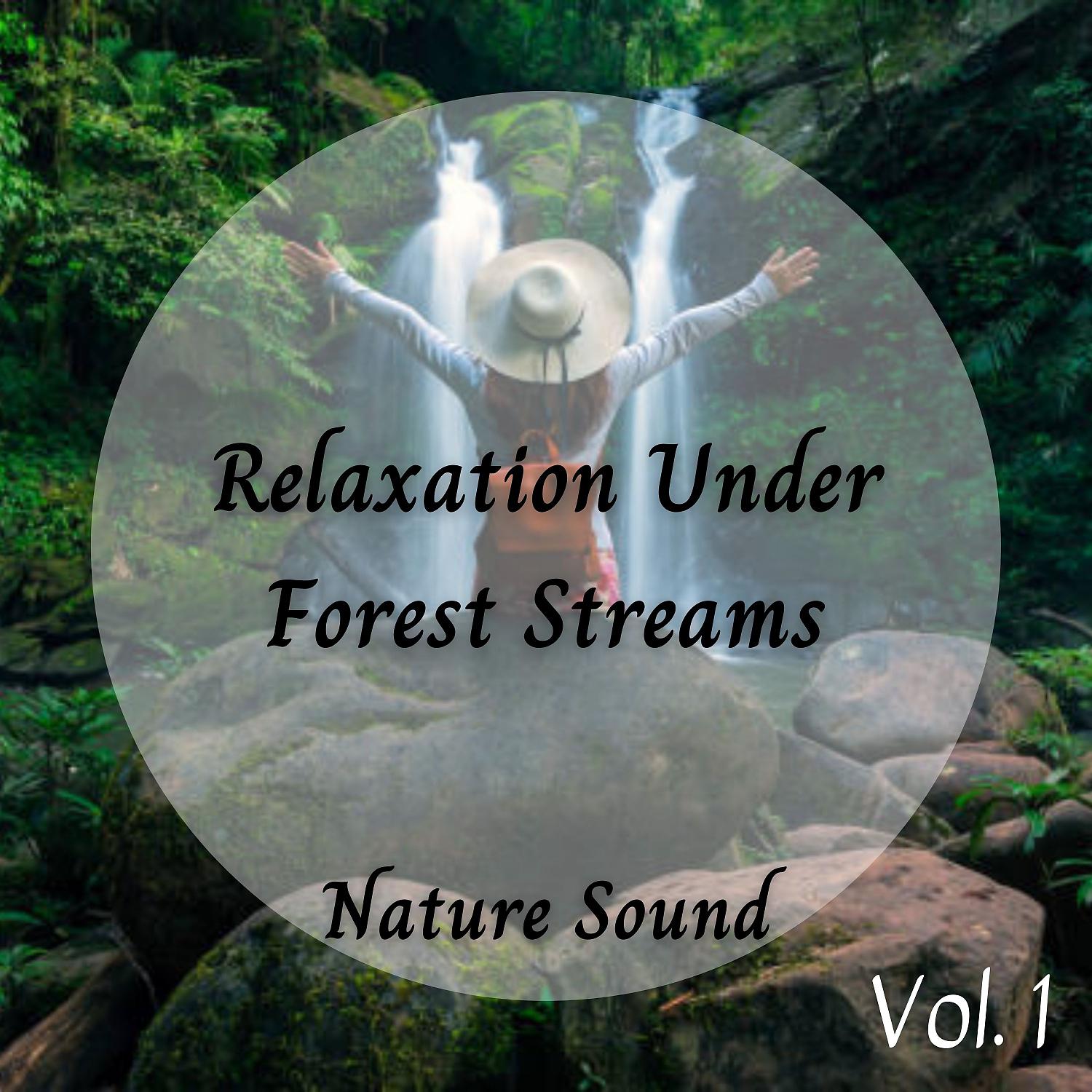 Постер альбома Nature Sound: Relaxation Under Forest Streams Vol. 1