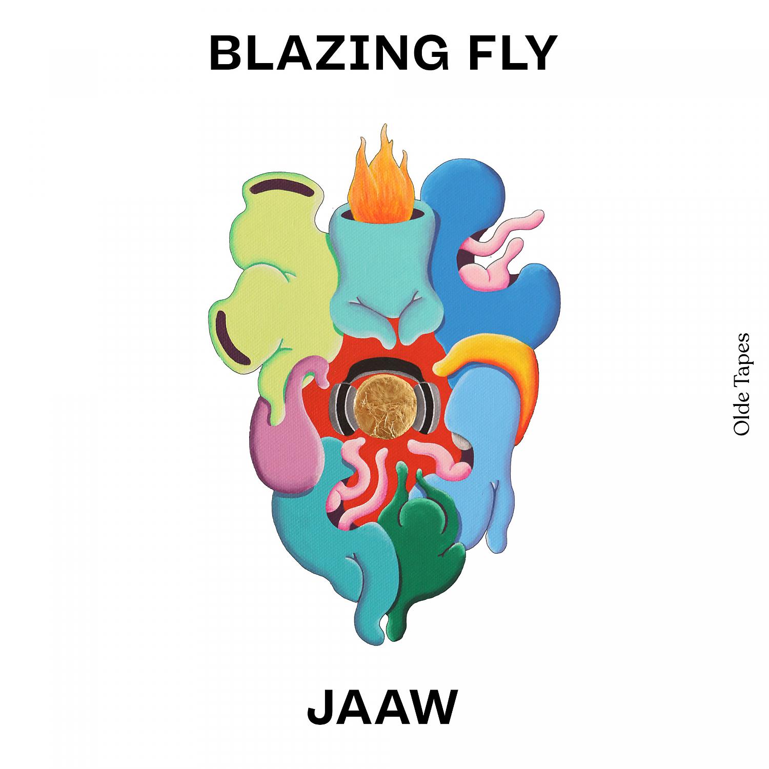 Постер альбома Blazing Fly