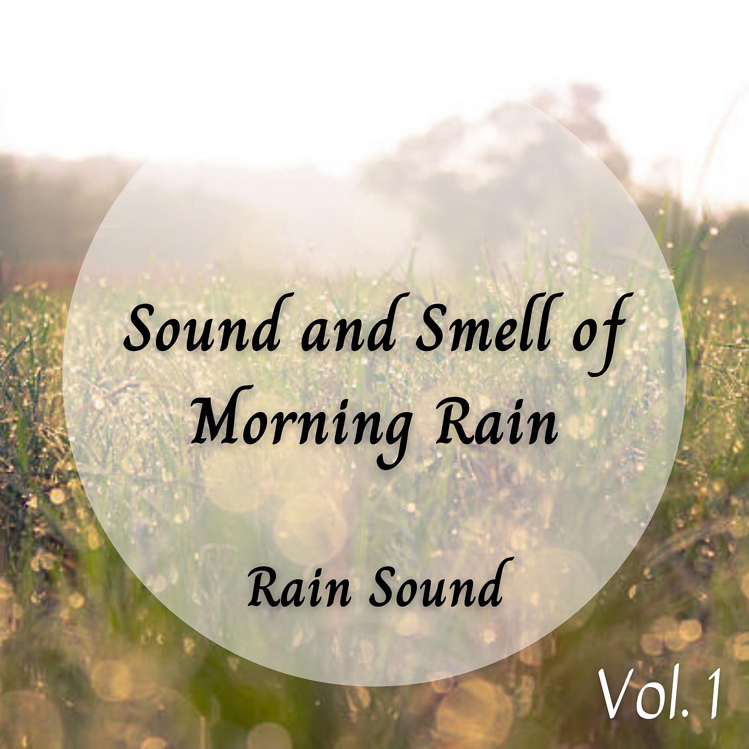 Постер альбома Rain Sound: Sound and Smell of Morning Rain Vol. 1