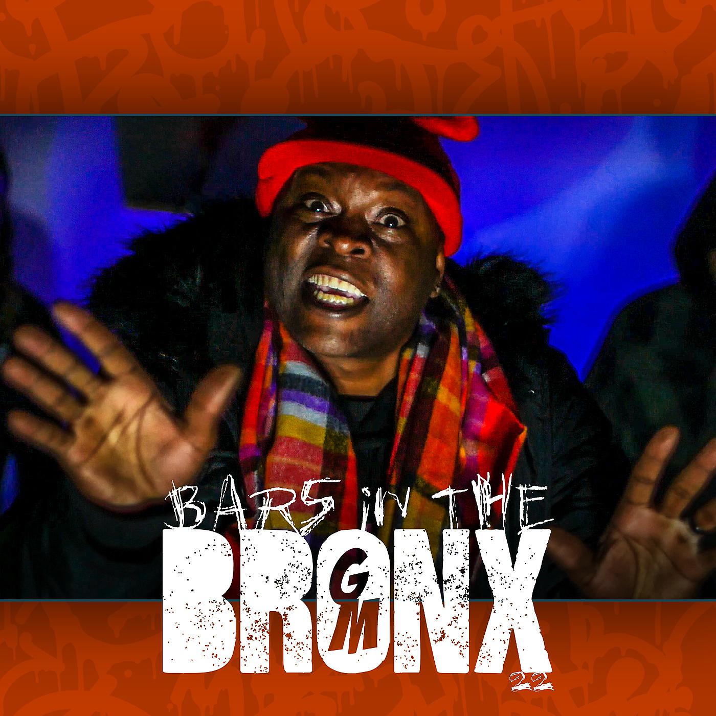 Постер альбома Bars in the Bronx 22