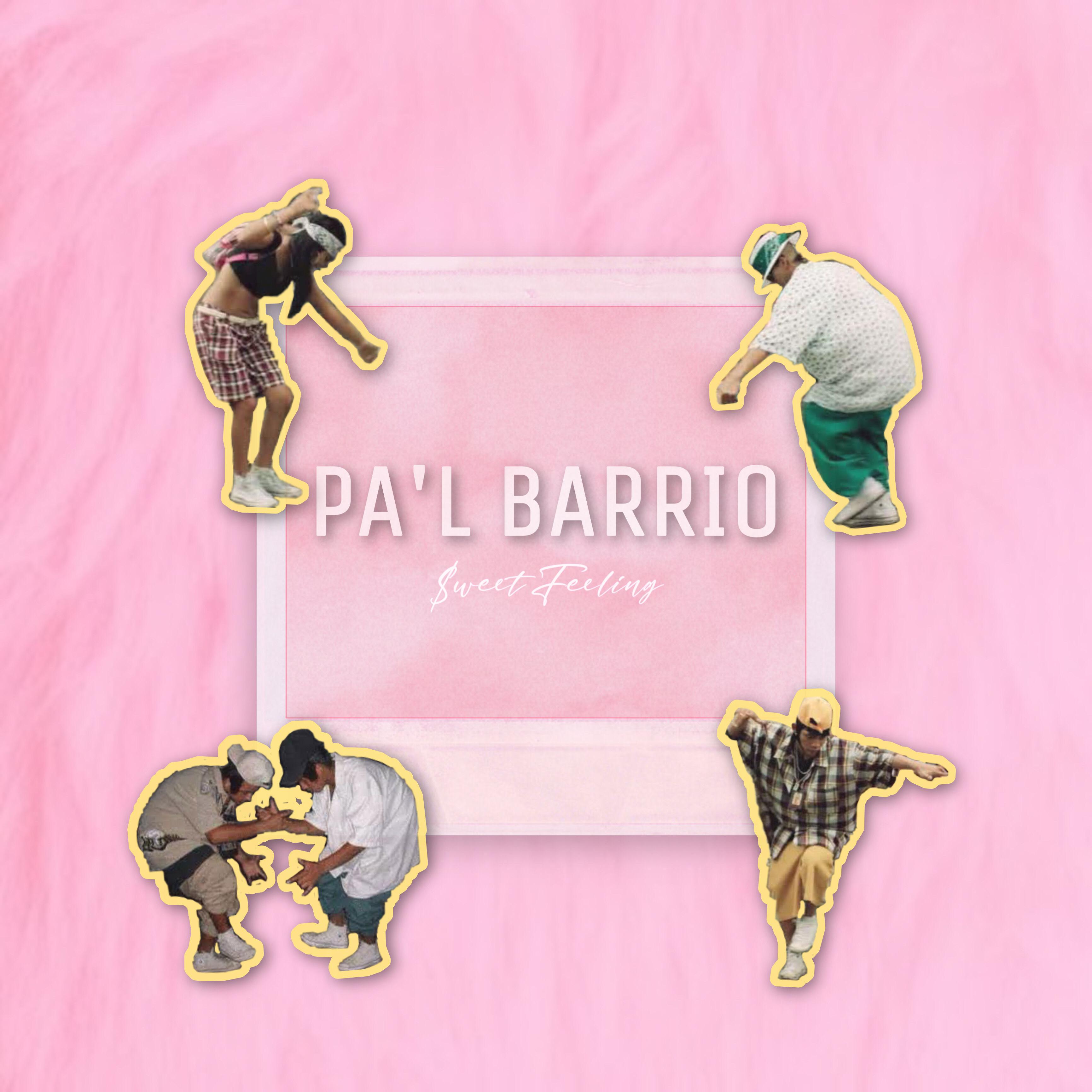 Постер альбома Pa'l Barrio
