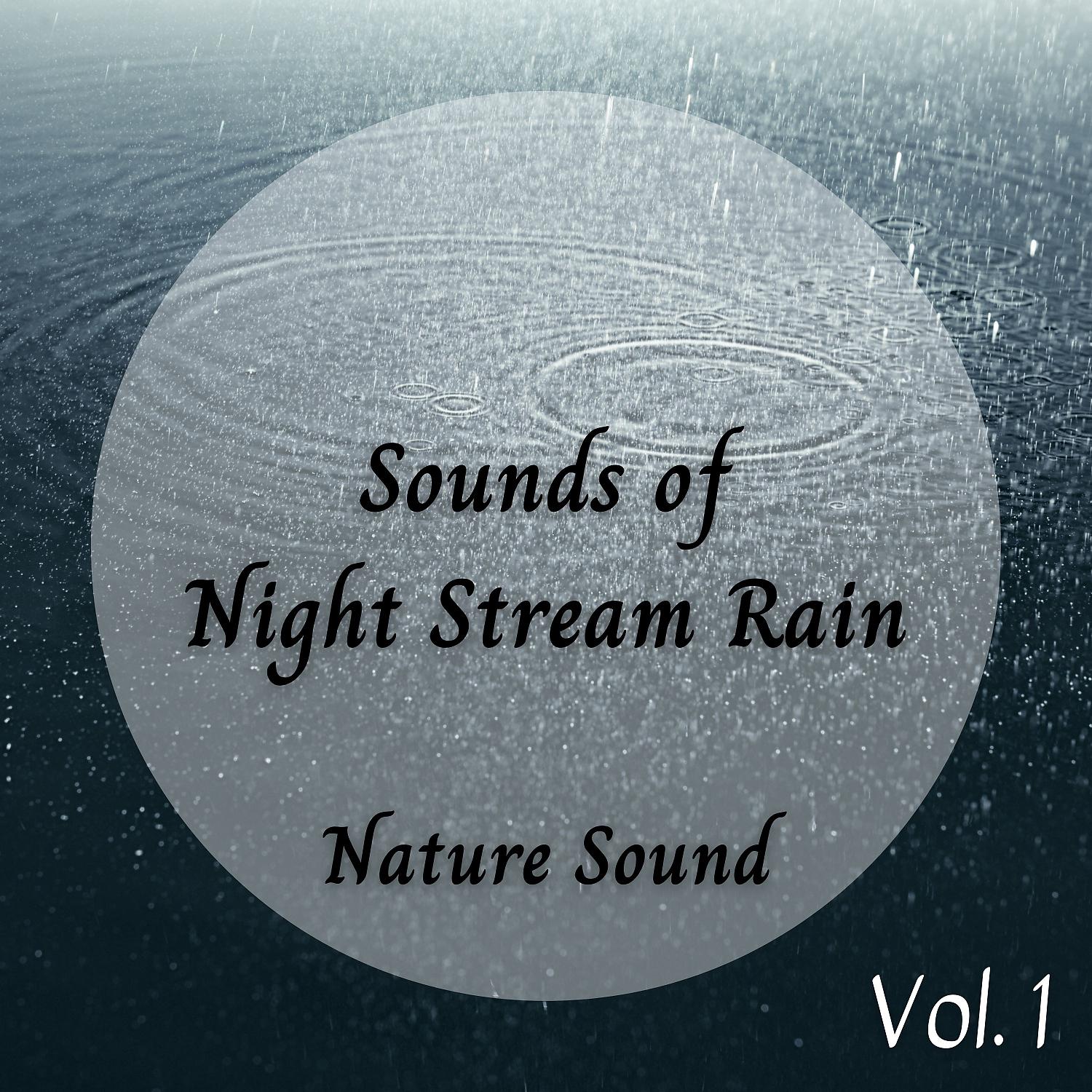 Постер альбома Nature Sound: Sounds of Night Stream Rain Vol. 1