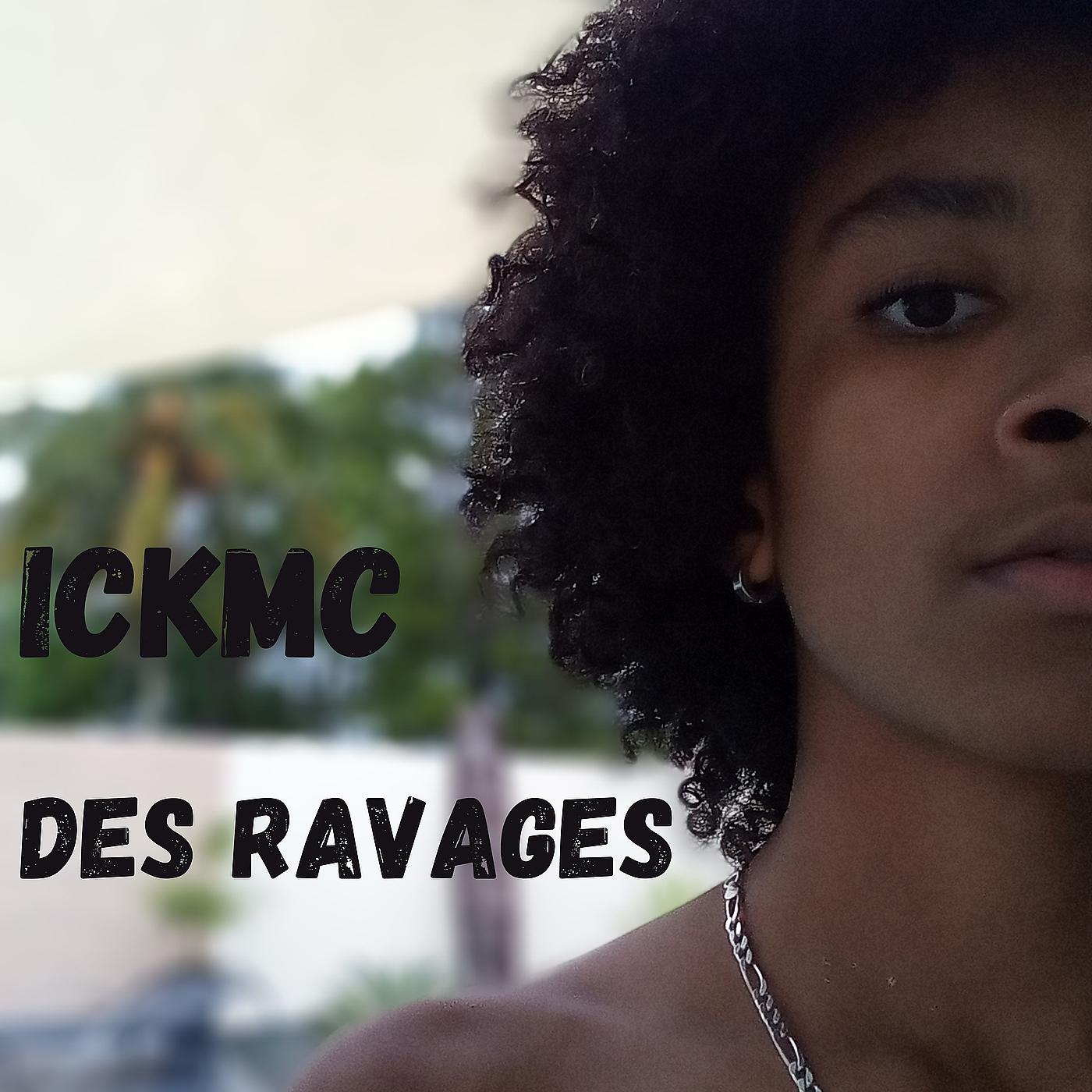 Постер альбома Des Ravages