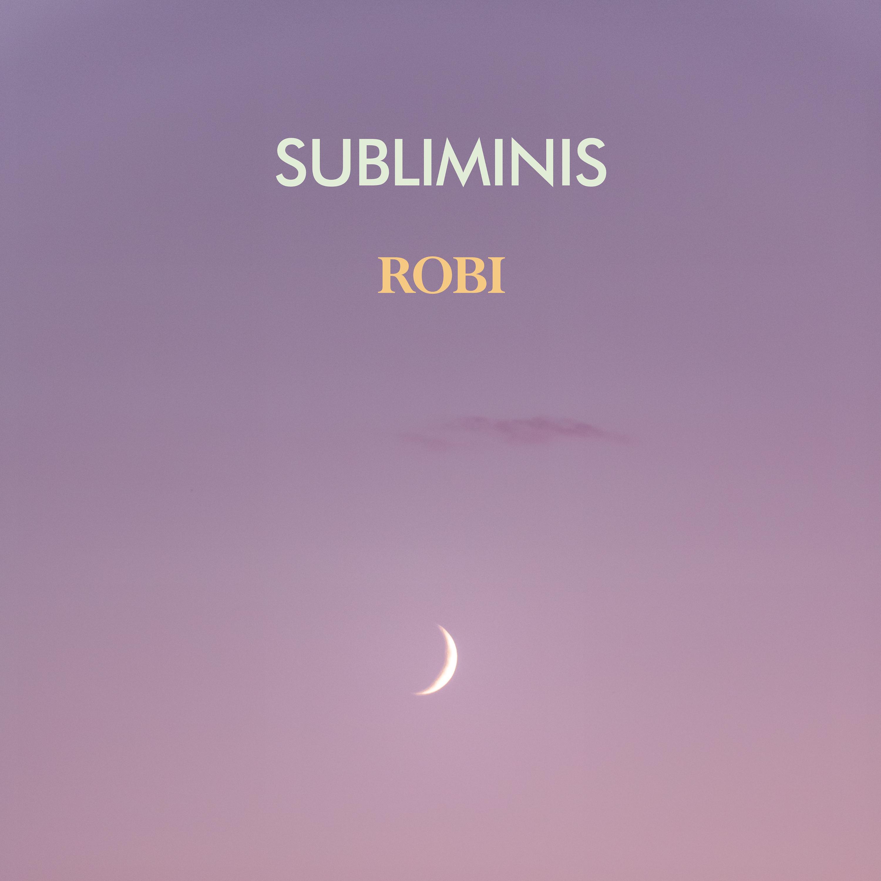 Постер альбома ROBI