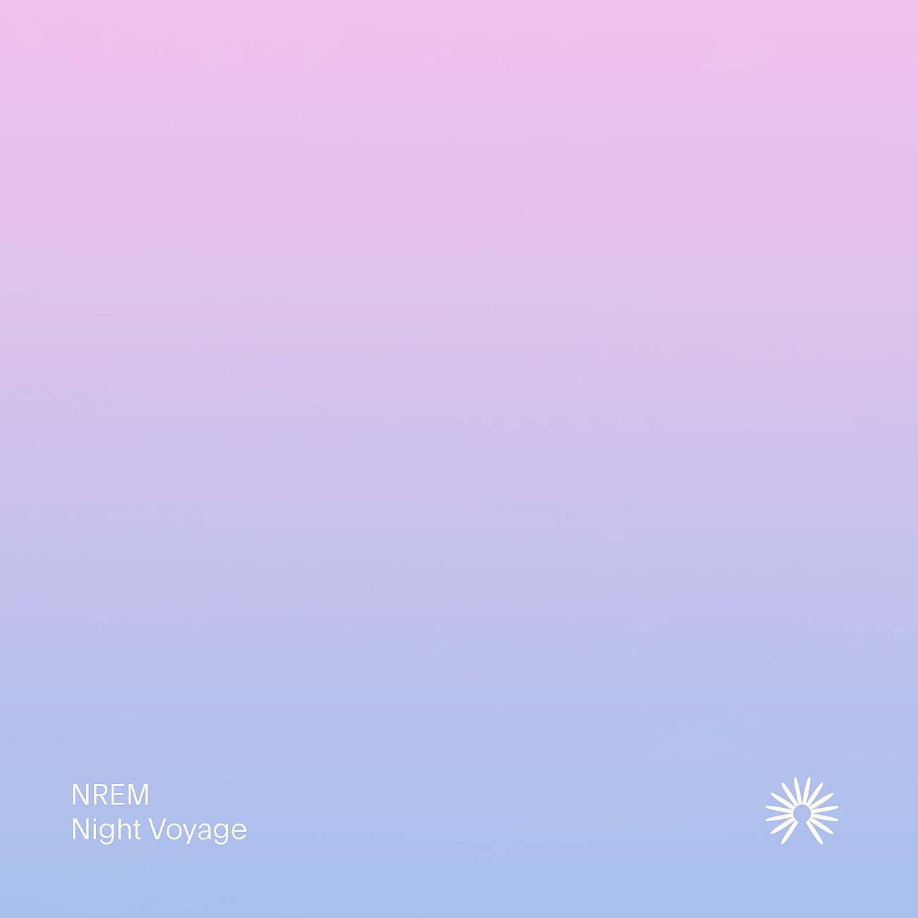 Постер альбома Night Voyage