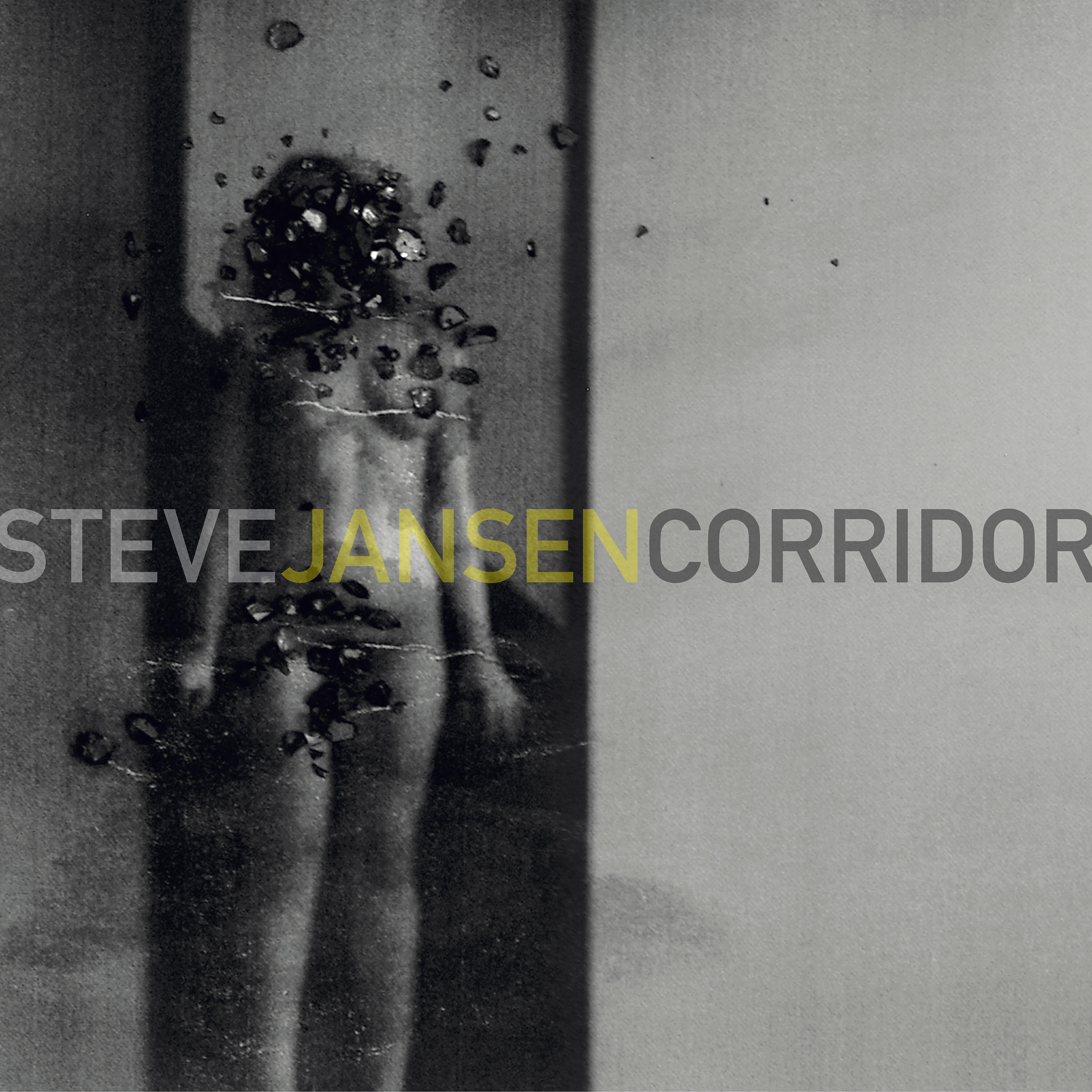 Steve Jansen - Recovery Room