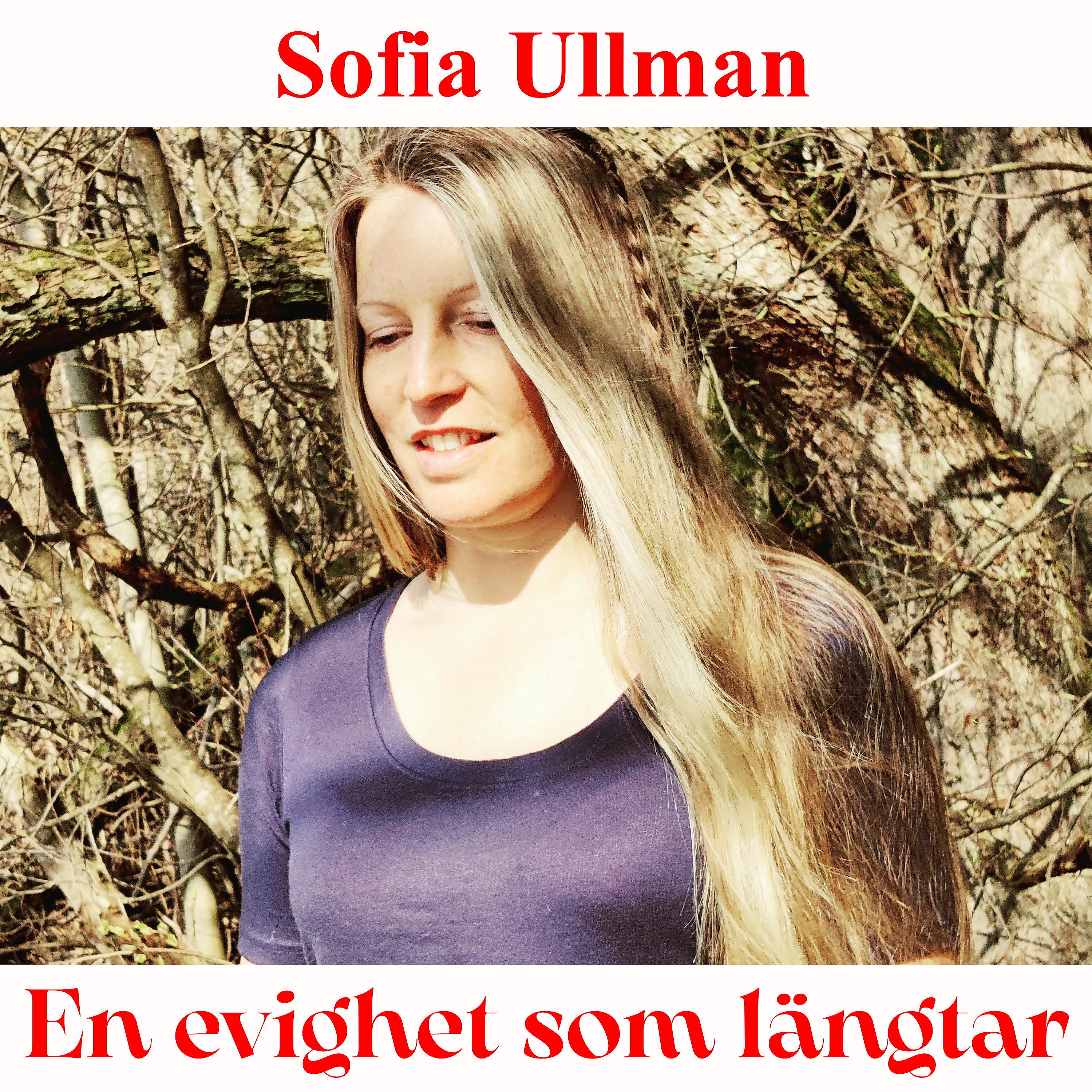 Постер альбома En Evighet Som Längtar