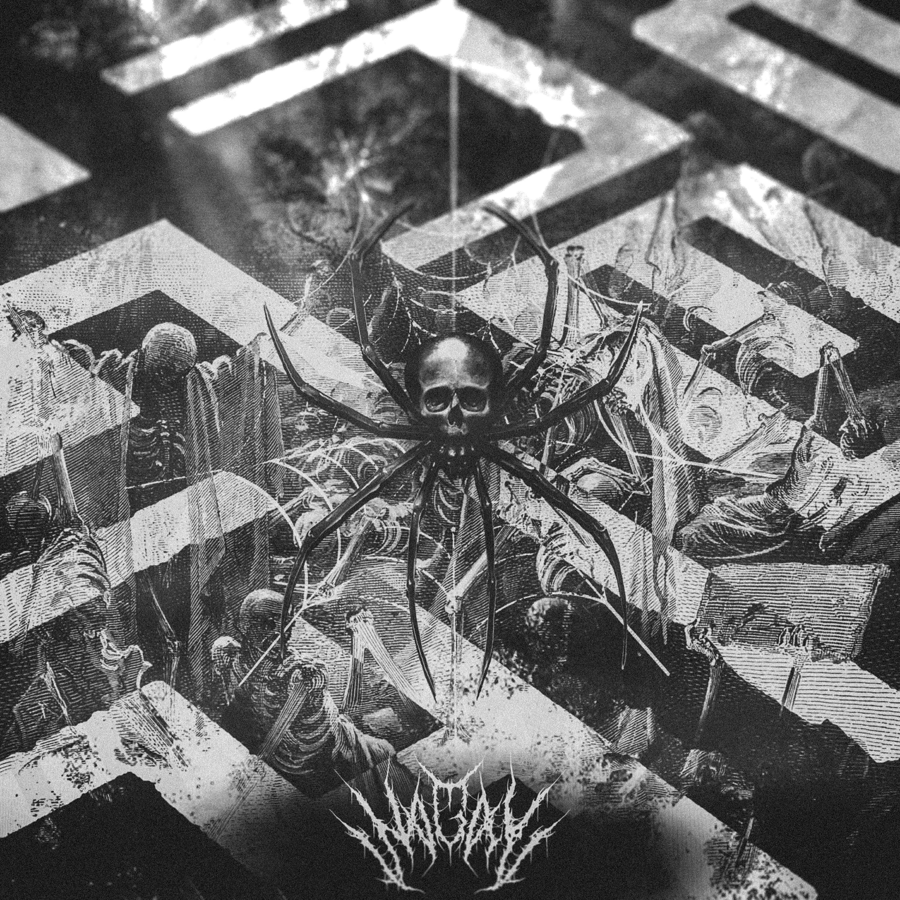 NAGAL - Maze
