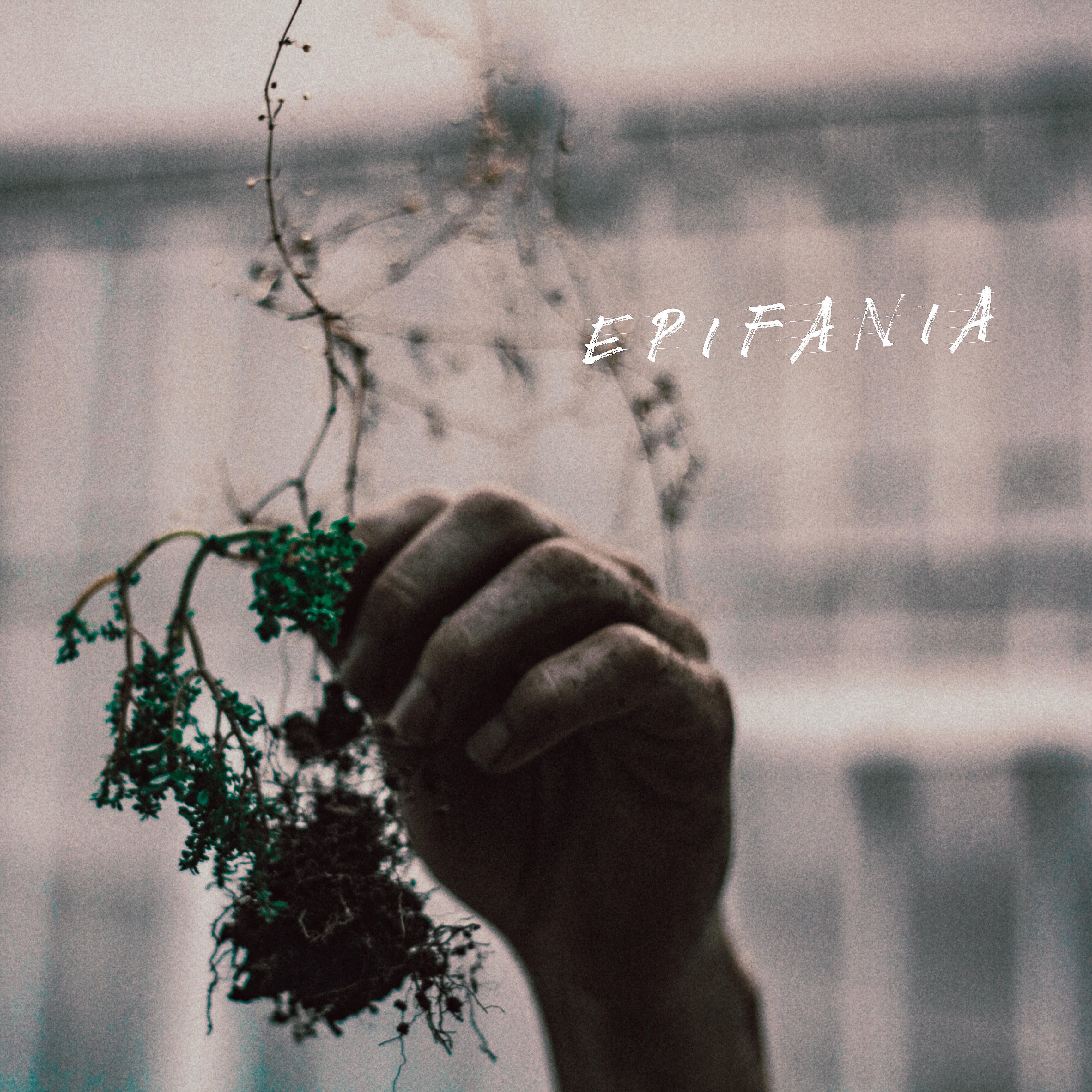 Pedro Alcantara - Epifania