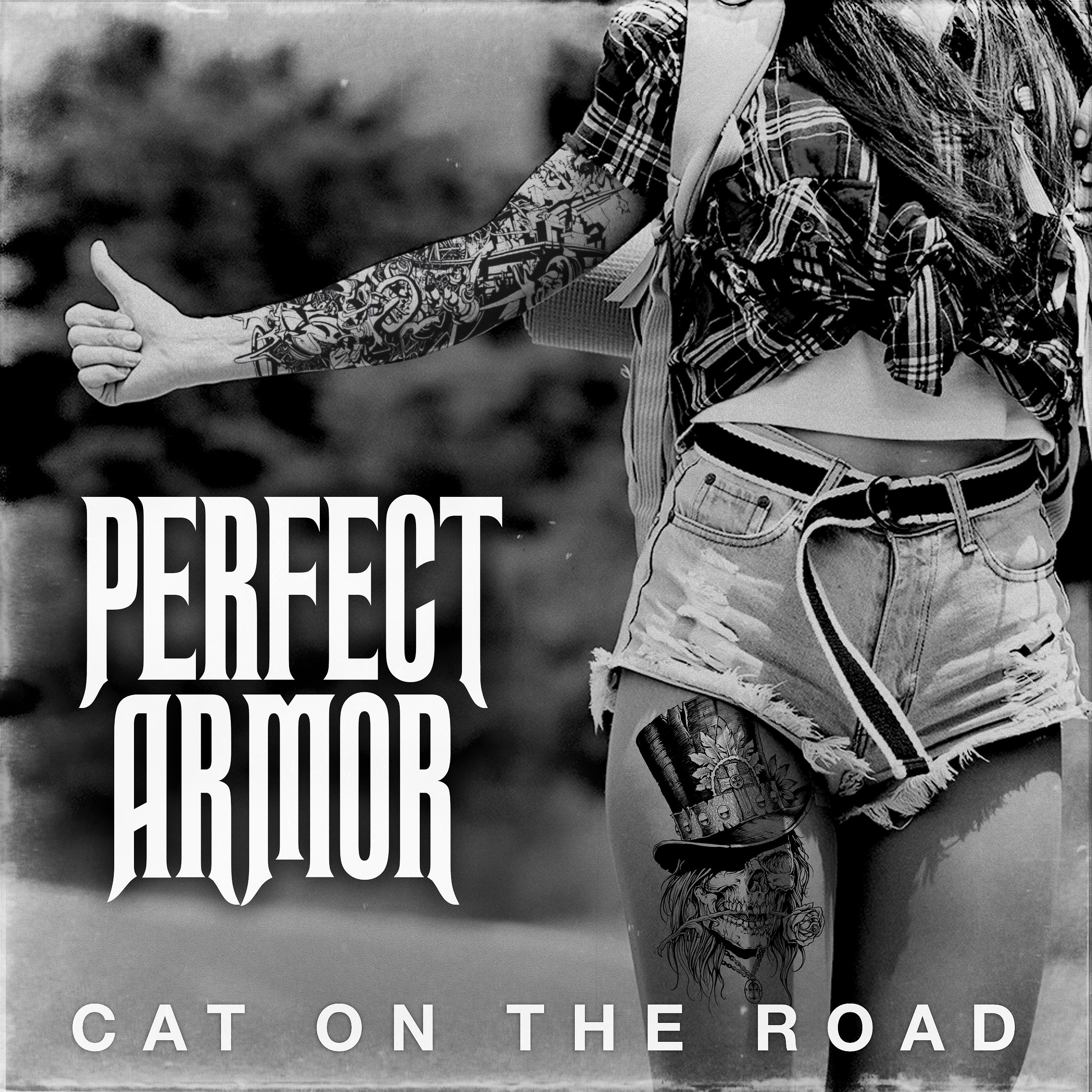 Постер альбома Cat on the Road