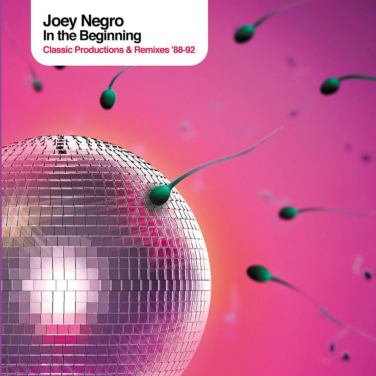 Постер альбома Joey Negro presents in the Beginning