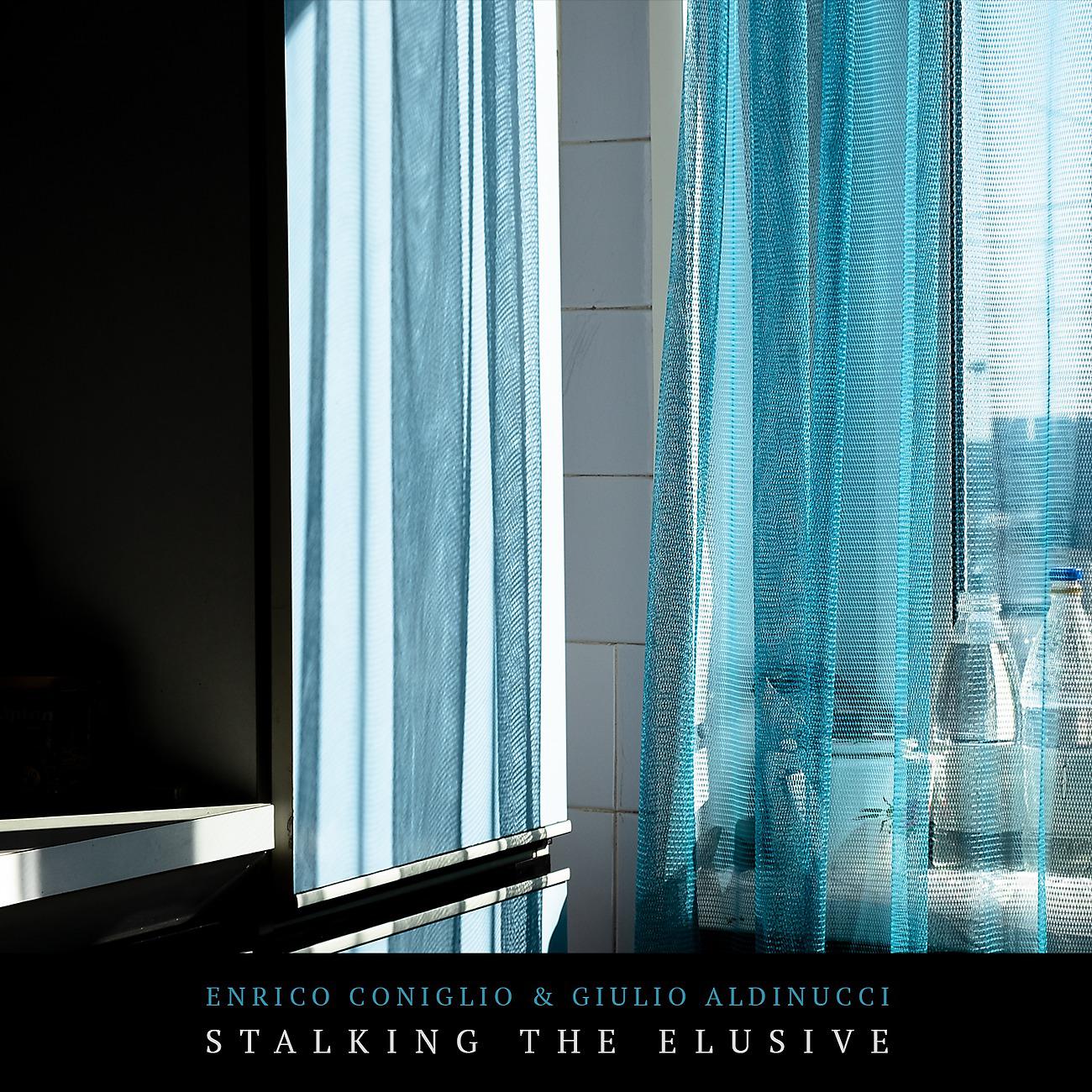 Постер альбома Stalking the Elusive