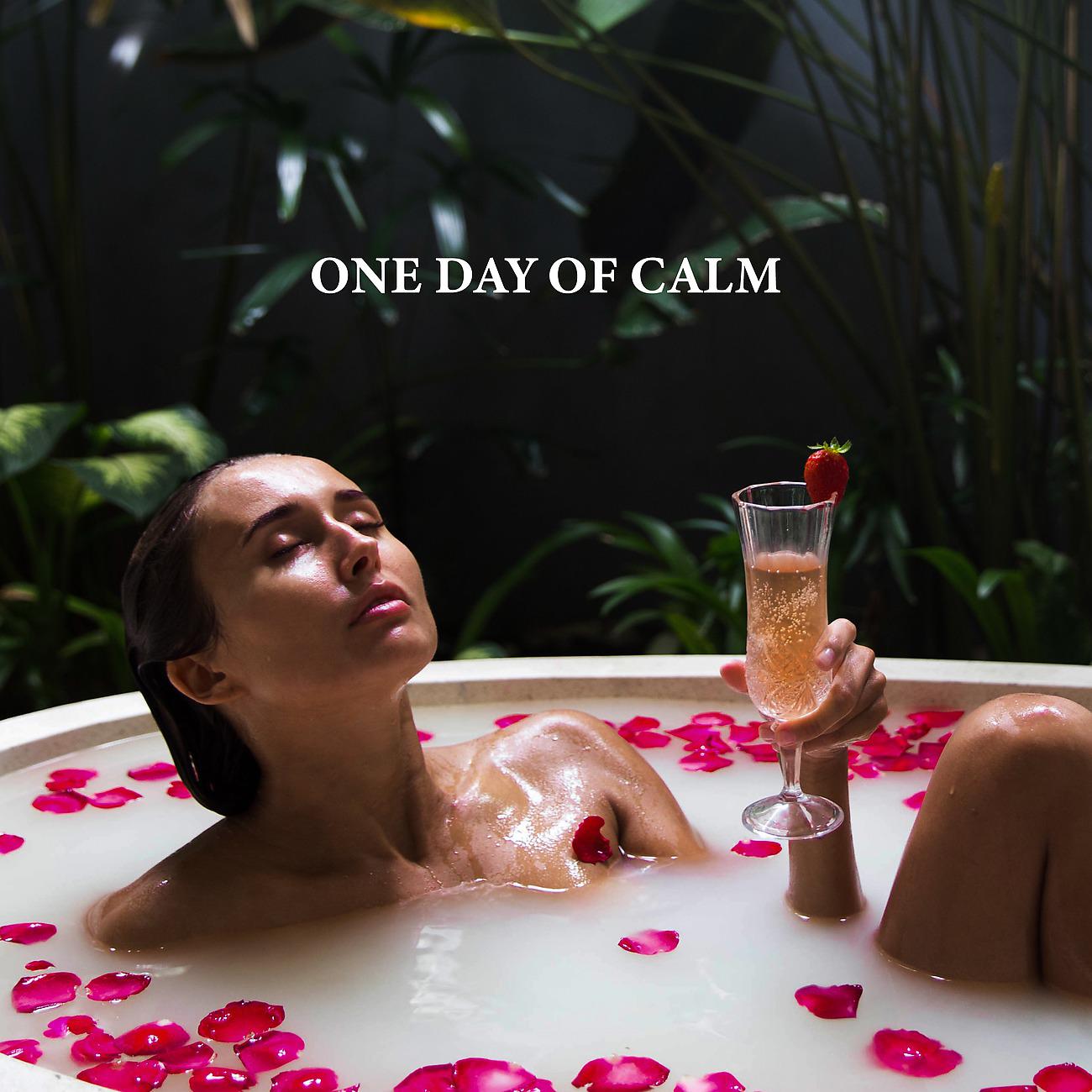Постер альбома One Day of Calm