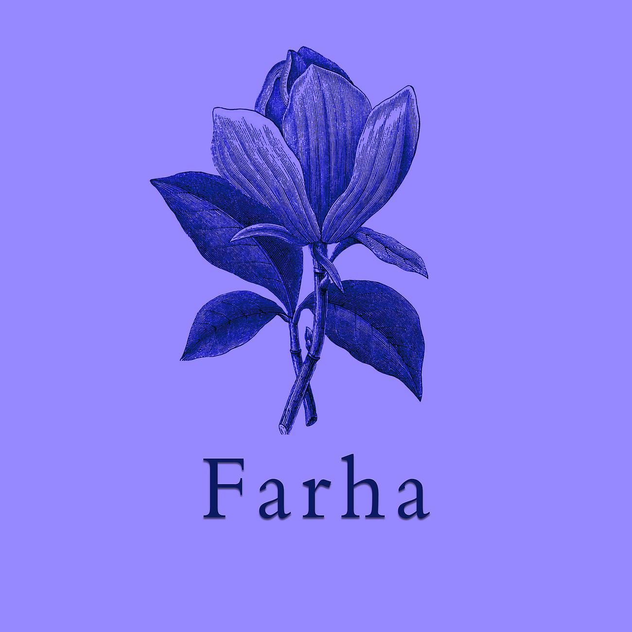 Постер альбома Farha