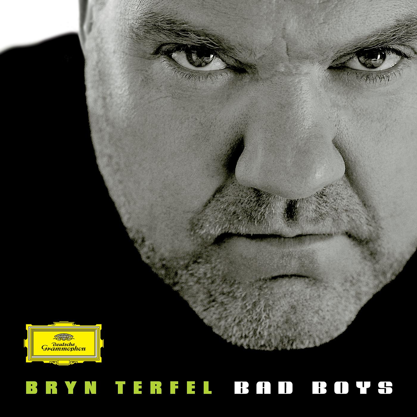 Bryn Terfel - Boito: Mefistofele / Act 1 - Canzone del fischio: 