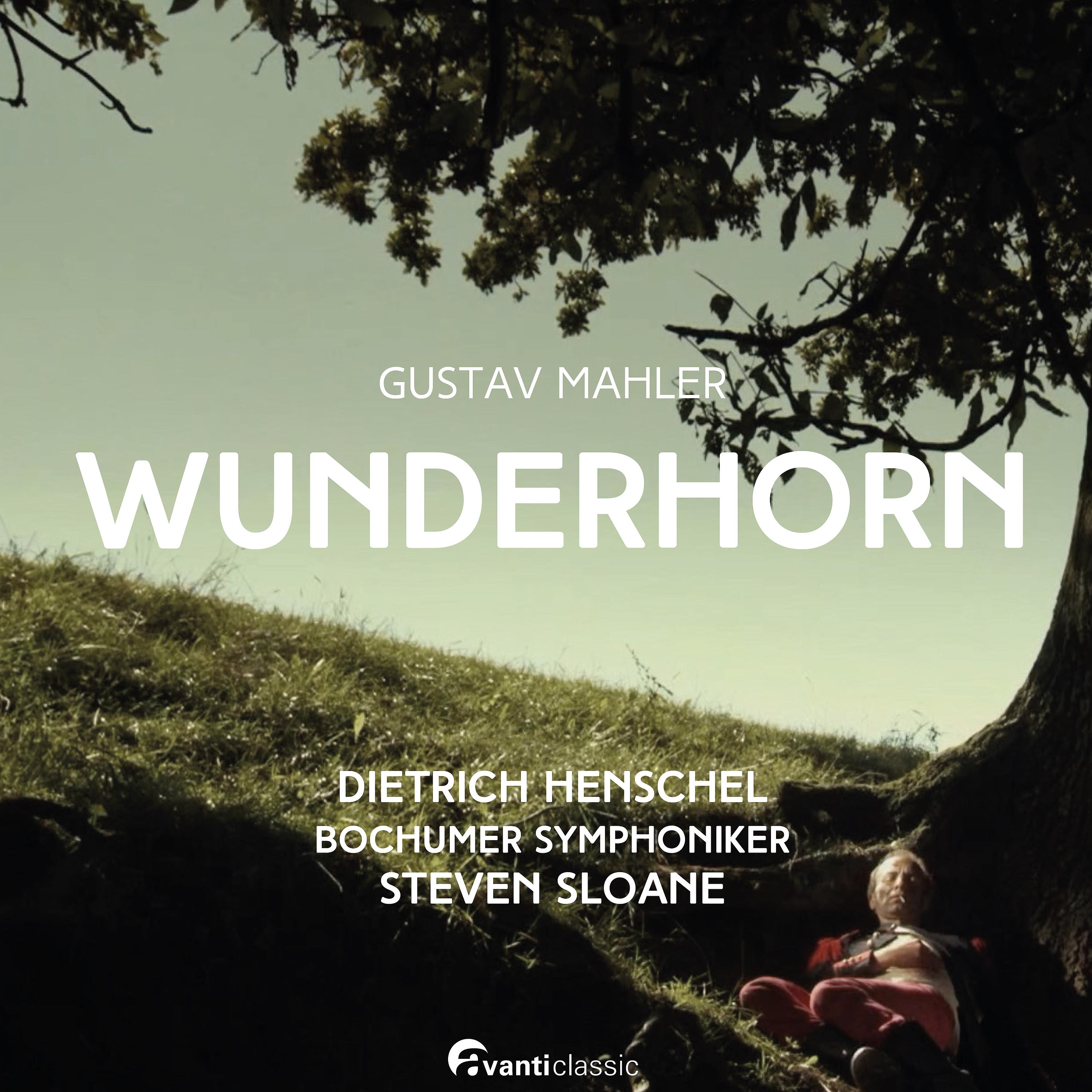 Постер альбома WUNDERHORN