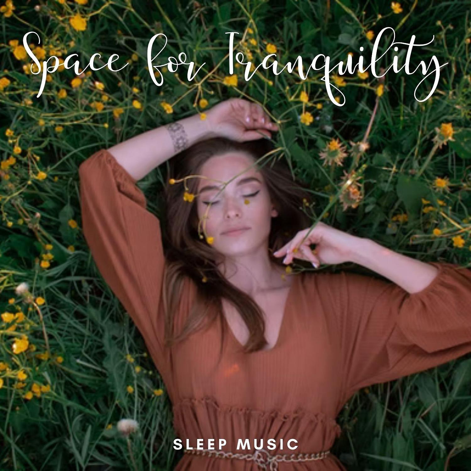 Постер альбома Sleep Music: Space for Tranquility