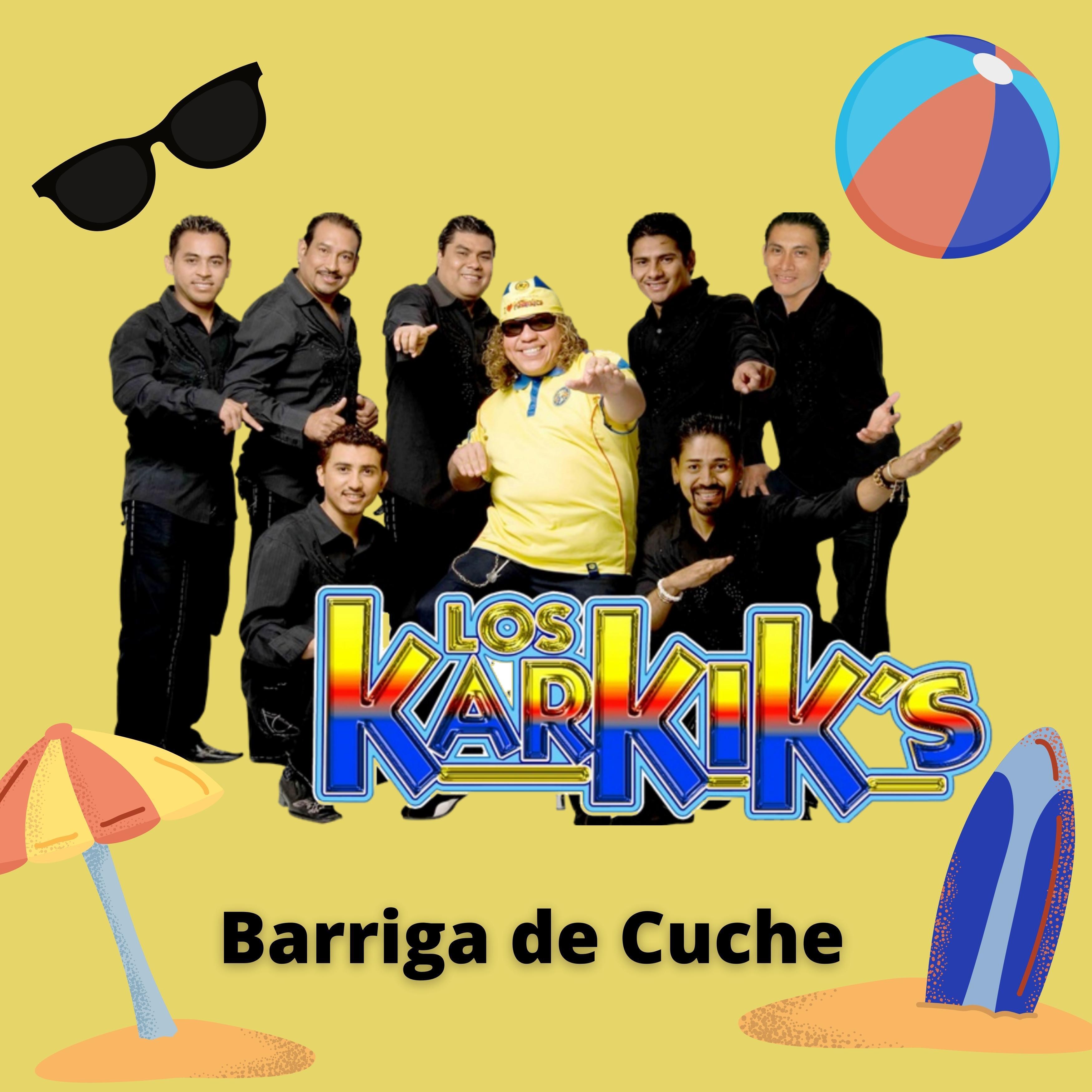 Постер альбома Barriga de Cuche