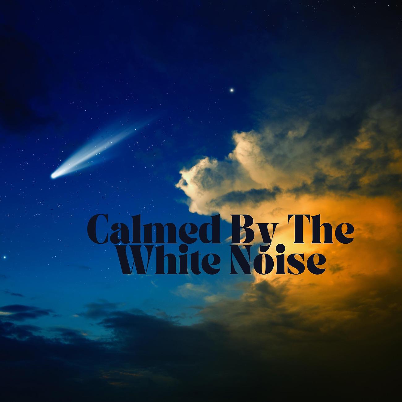 Постер альбома Calmed By The White Noise