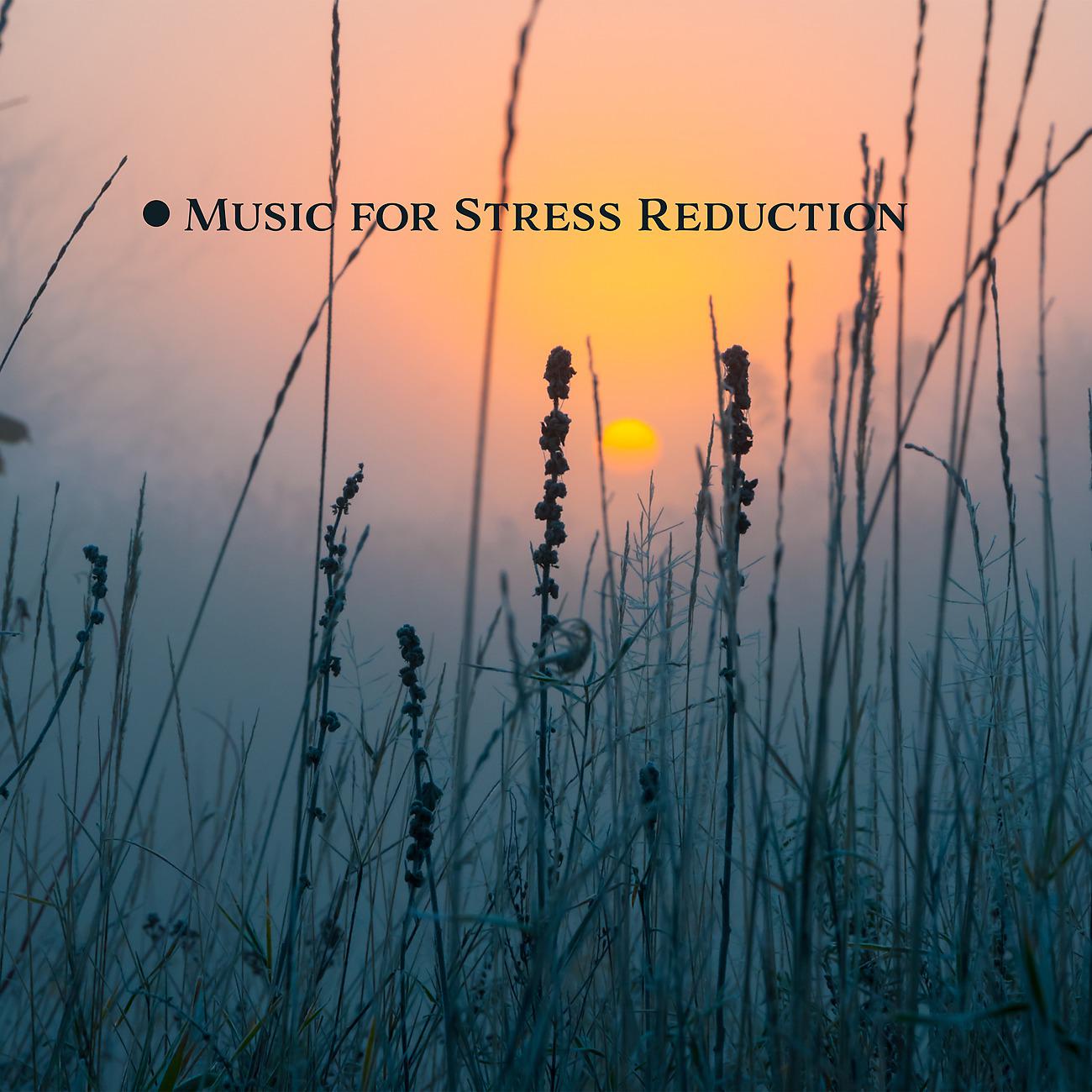 Постер альбома Music for Stress Reduction