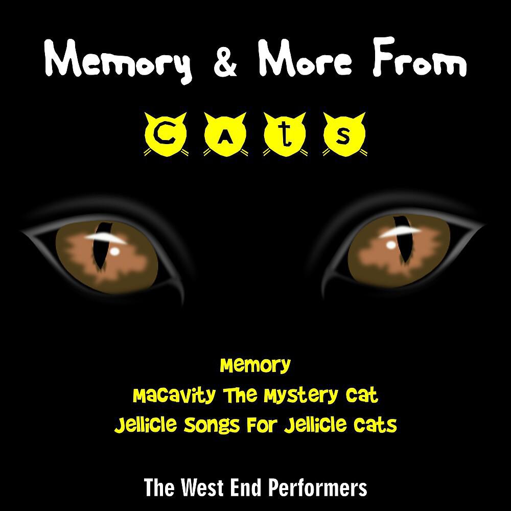 Постер альбома Memory & More from Cats
