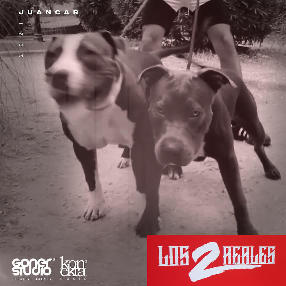 Juancar - Los 2 Reales