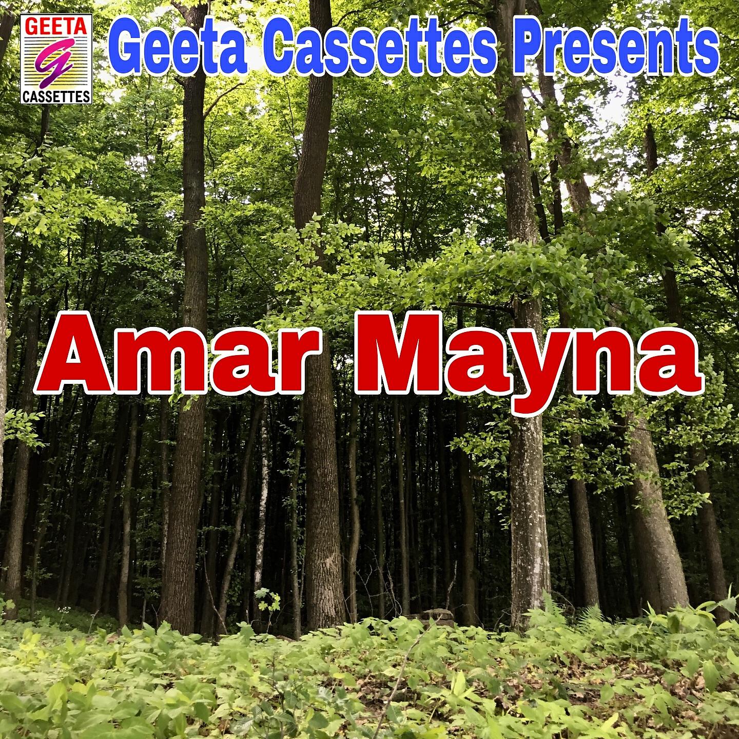 Sushanta Biswas - Amar Mayna