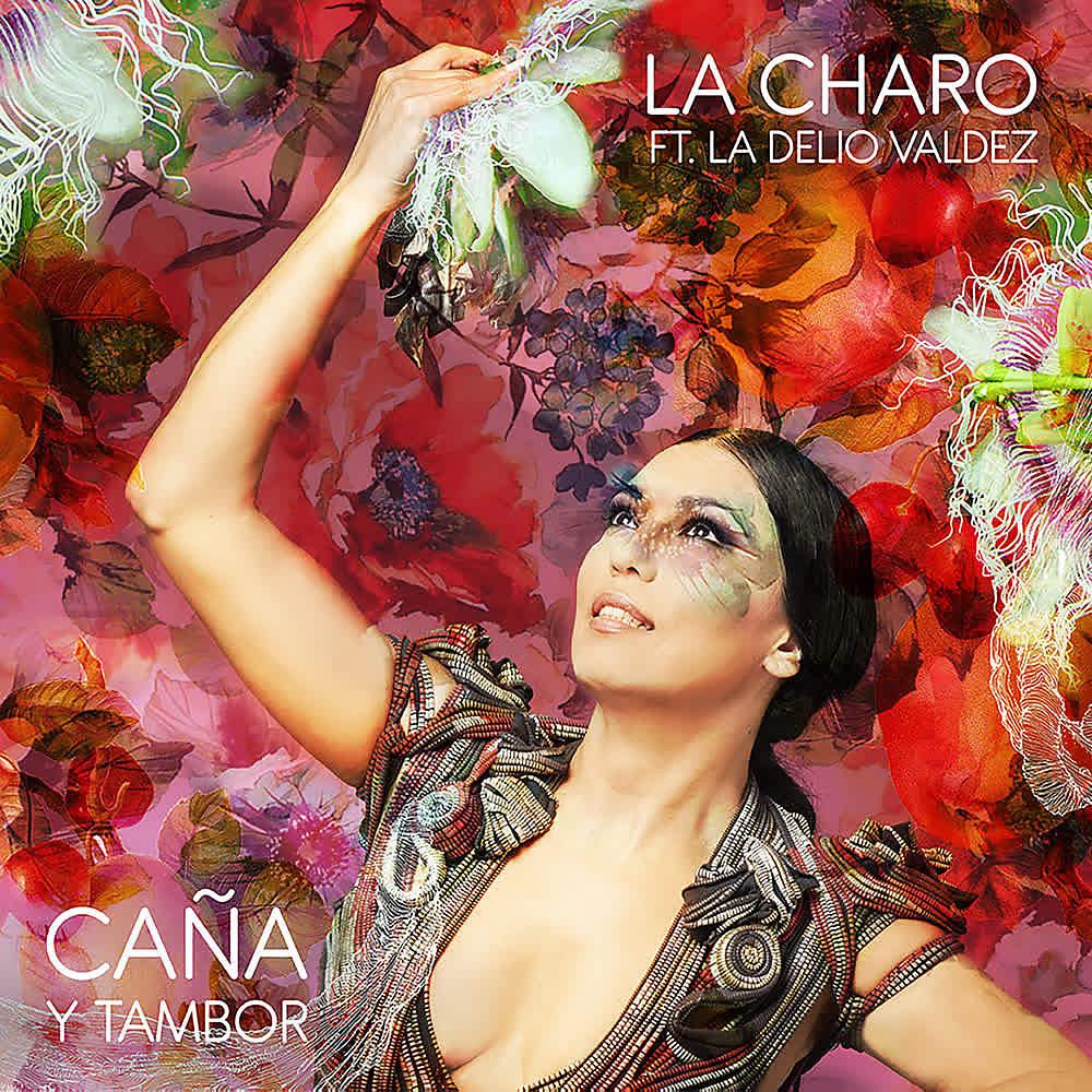 Постер альбома Caña y Tambor
