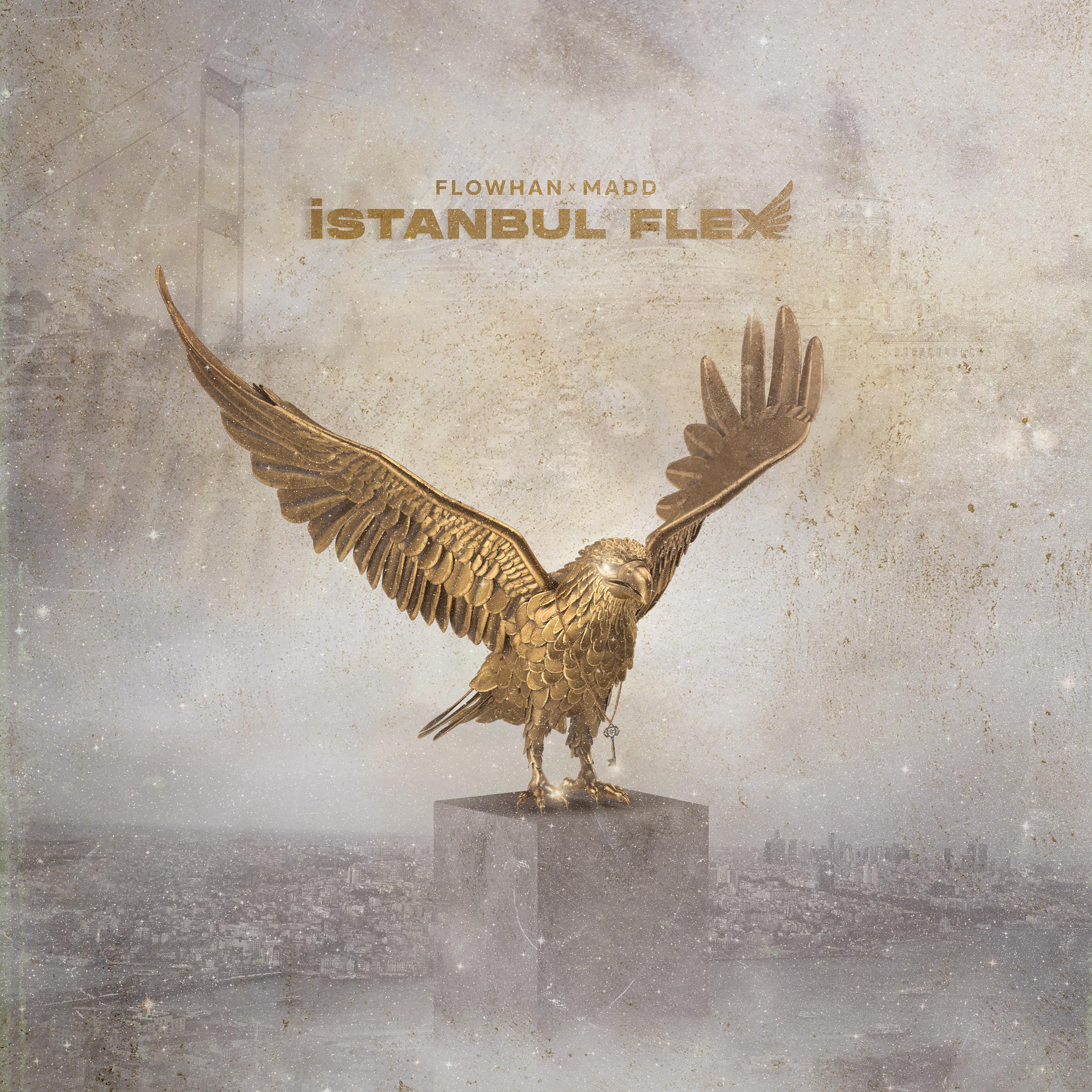 Постер альбома İstanbul Flex