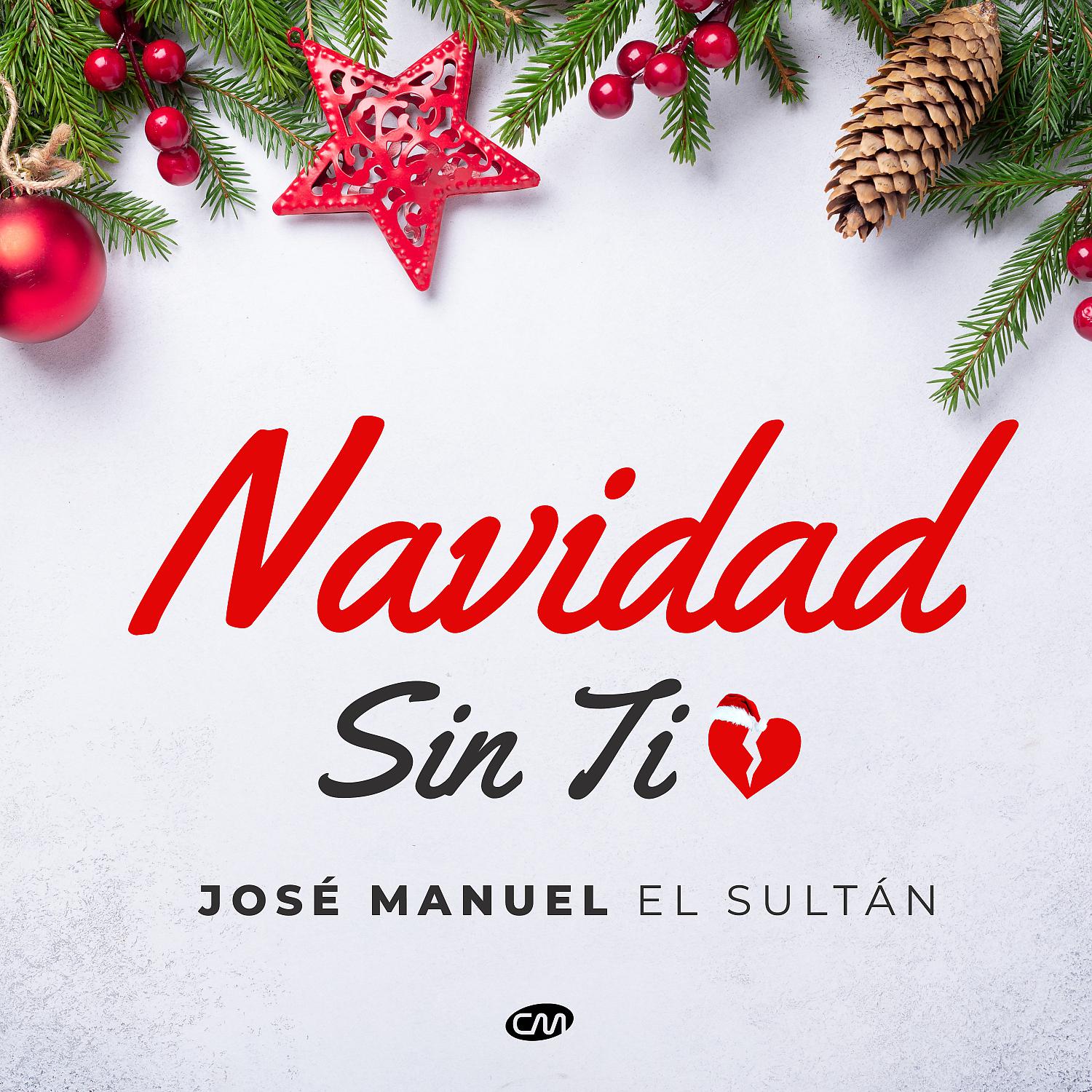 Постер альбома Navidad Sin Ti (En Vivo)
