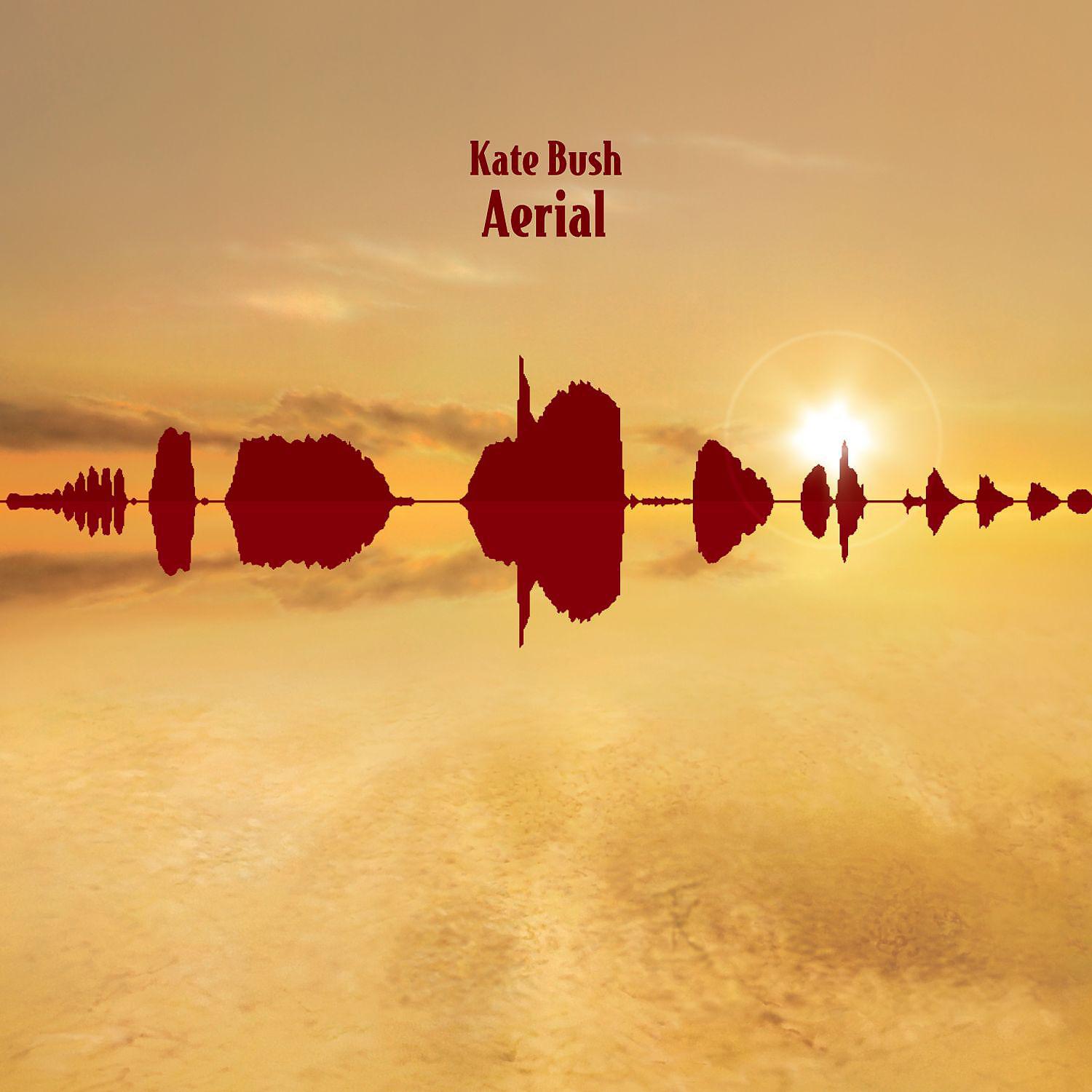 Постер альбома Aerial
