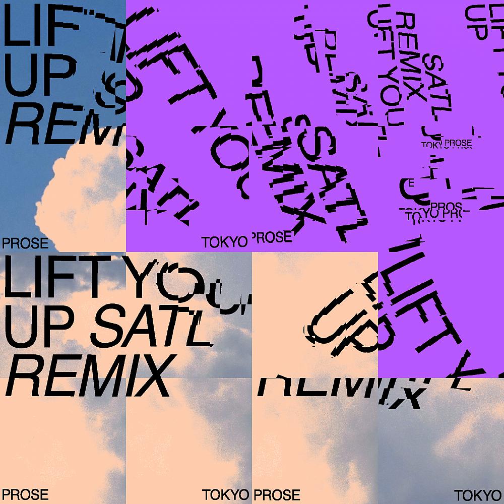 Постер альбома Lift You Up (Satl Remix)