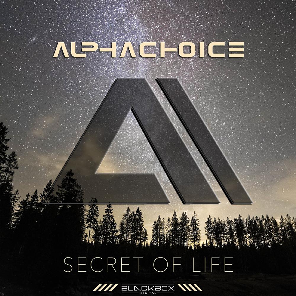 Постер альбома Secret Of Life