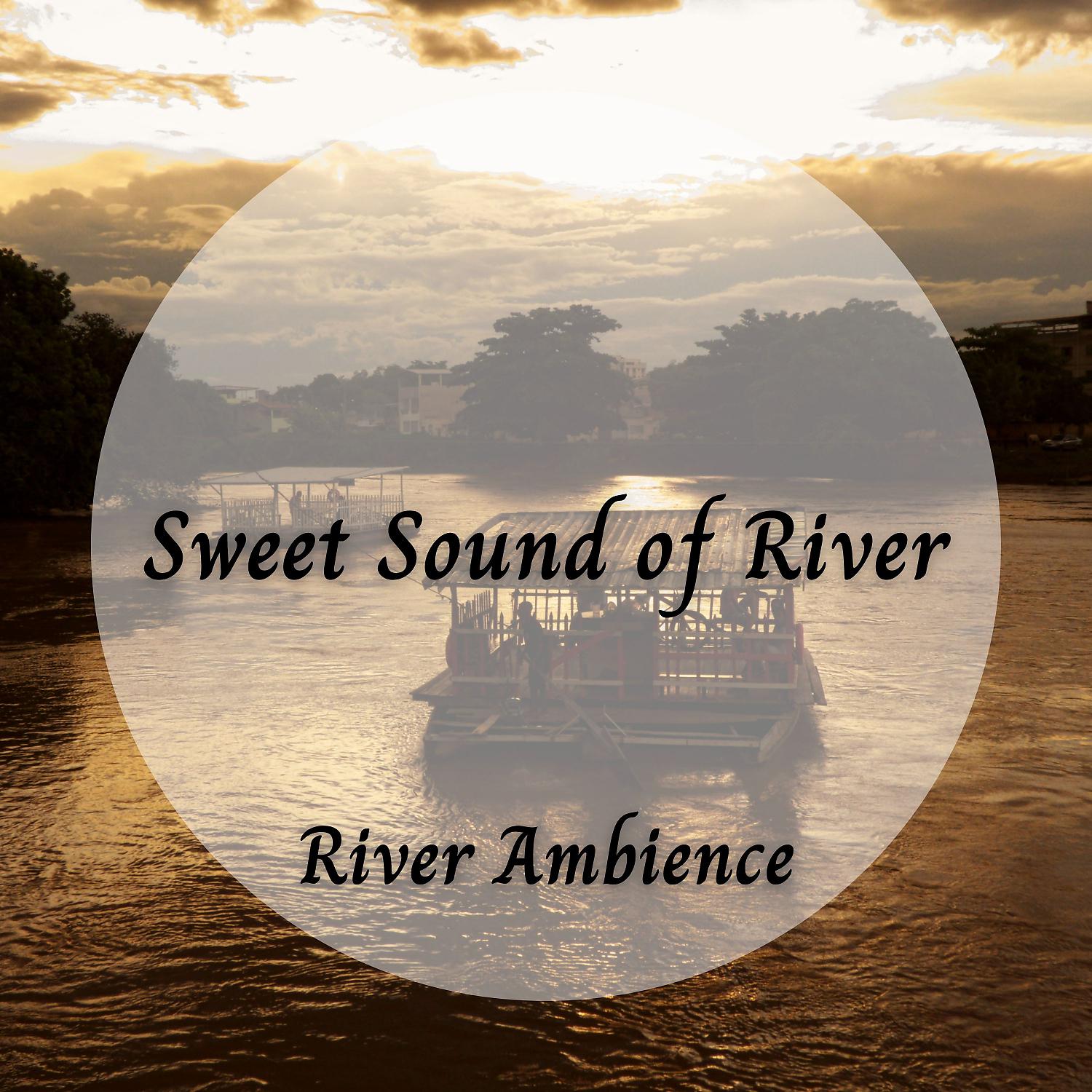 Постер альбома River Ambience: Sweet Sound of River