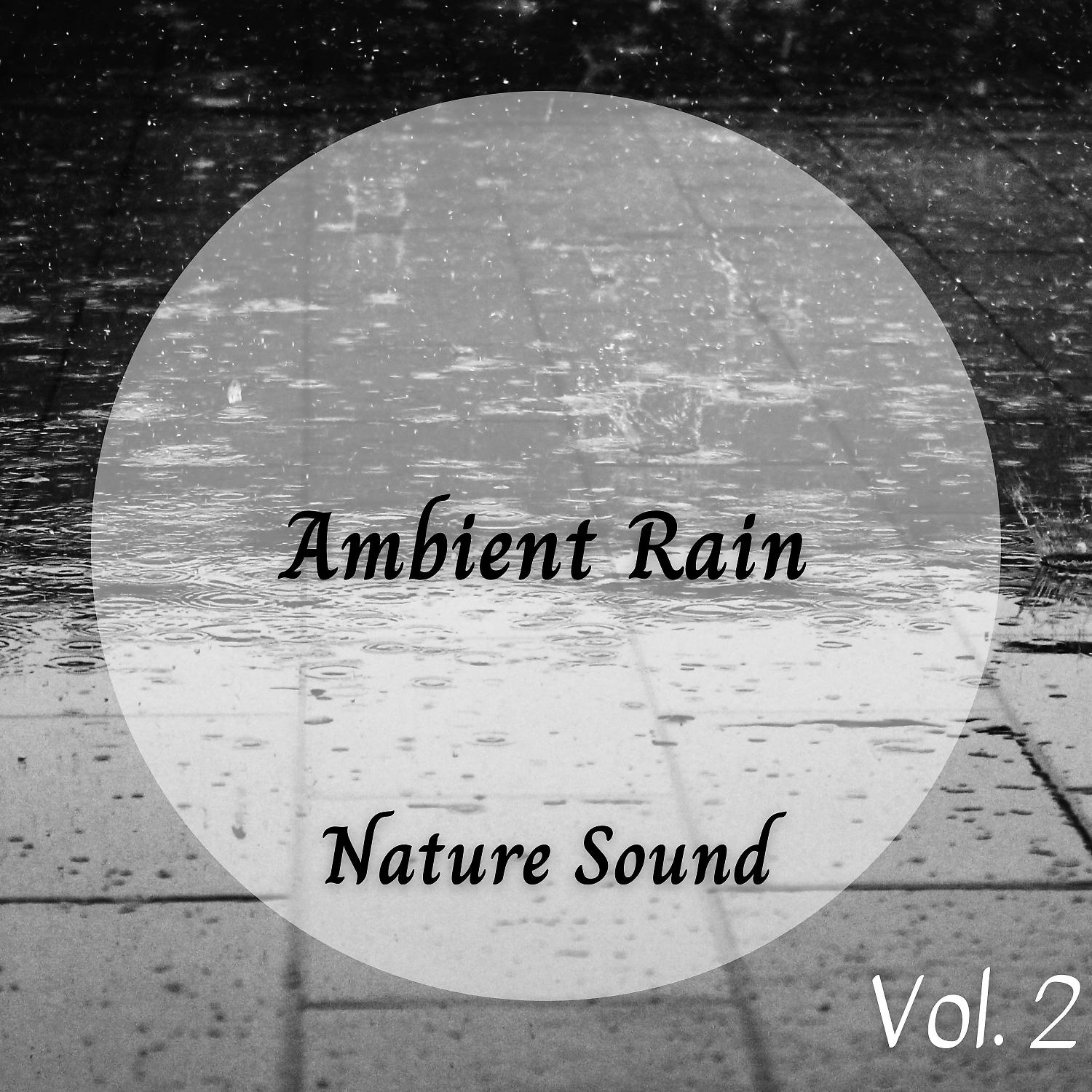 Постер альбома Nature Sound: Ambient Rain Vol. 2