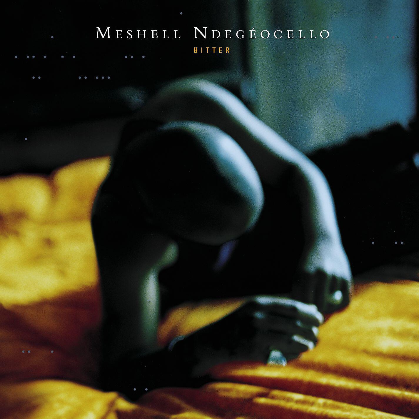 Meshell Ndegeocello - Eve